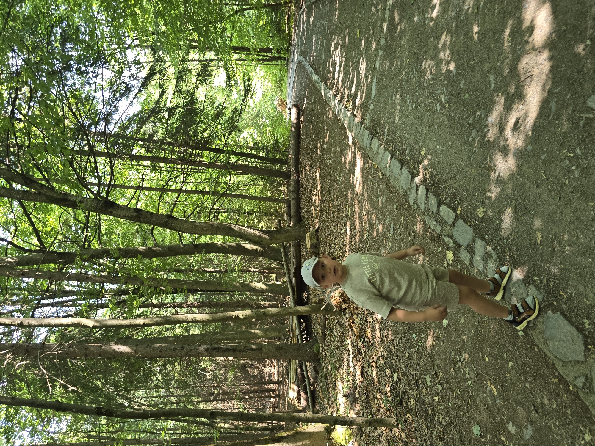 The image depicts a young boy, appearing to be around 4-6 years old, standing on a dirt path in a wooded area. He is wearing a light-colored t-shirt and shorts, a light-colored baseball cap, and sandals. The t-shirt has text that reads "LITTLE LEAGUE". The path is bordered by stones and surrounded by trees with lush green foliage. Fallen logs and branches are visible on the ground in the background, suggesting a natural, undeveloped environment. The lighting indicates it is daytime, with sunlight filtering through the trees, creating dappled shadows on the path. The location is identified as Vilémovice, Czechia.
