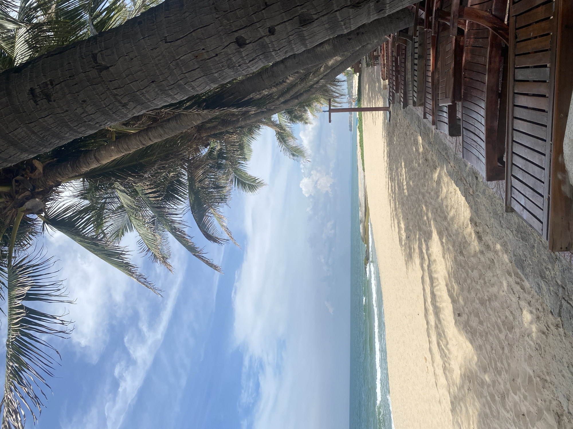 The image depicts a tranquil beach scene in Phu Thuy Ward, Vietnam, characterized by a row of empty wooden lounge chairs lined up on the sandy shore. Tall palm trees with thick, textured trunks stand to the right, casting dappled shadows across the beach and onto the chairs. The ocean stretches out to the horizon, with gentle waves lapping at the shore under a bright, partly cloudy sky. The sand is light beige and appears smooth, with some scattered debris. In the distance, a wooden pole with a crossbar is visible, possibly part of a beach umbrella stand. The overall atmosphere is one of peaceful relaxation and natural beauty.