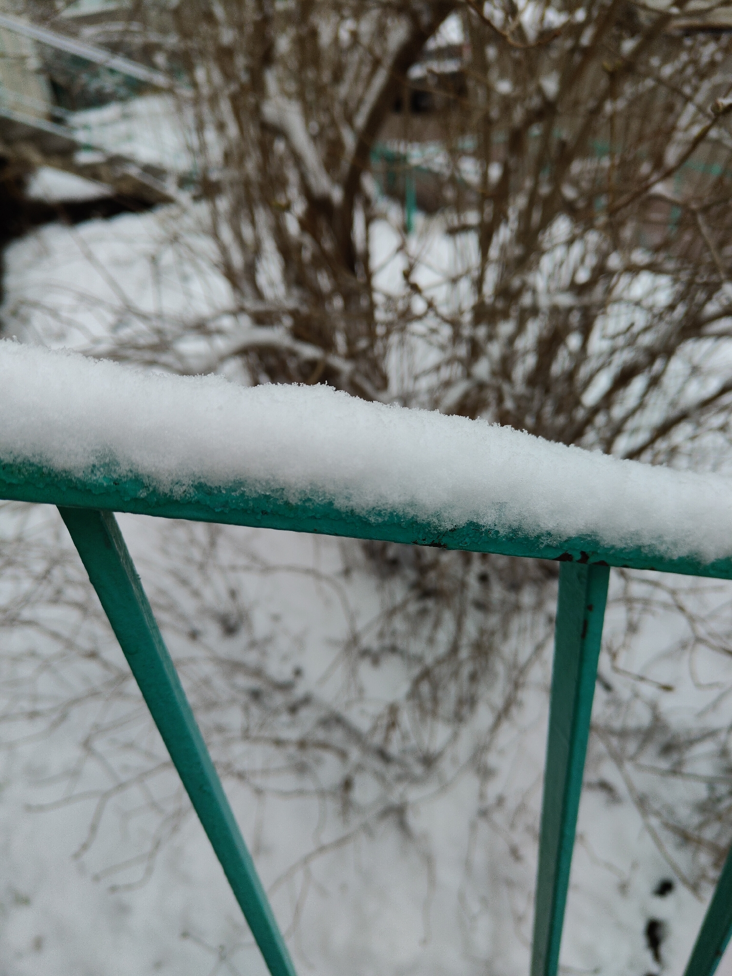 The image shows a close-up of a turquoise metal railing covered with a layer of snow. The railing is the primary subject and is in the foreground. Behind the railing, a leafless bush or small tree is visible, with its branches covered in snow. The background consists of snow-covered ground and indistinct structures, suggesting an outdoor urban setting in winter. The lighting is muted and diffuse, consistent with a cloudy or overcast day. There are no people visible in the scene.