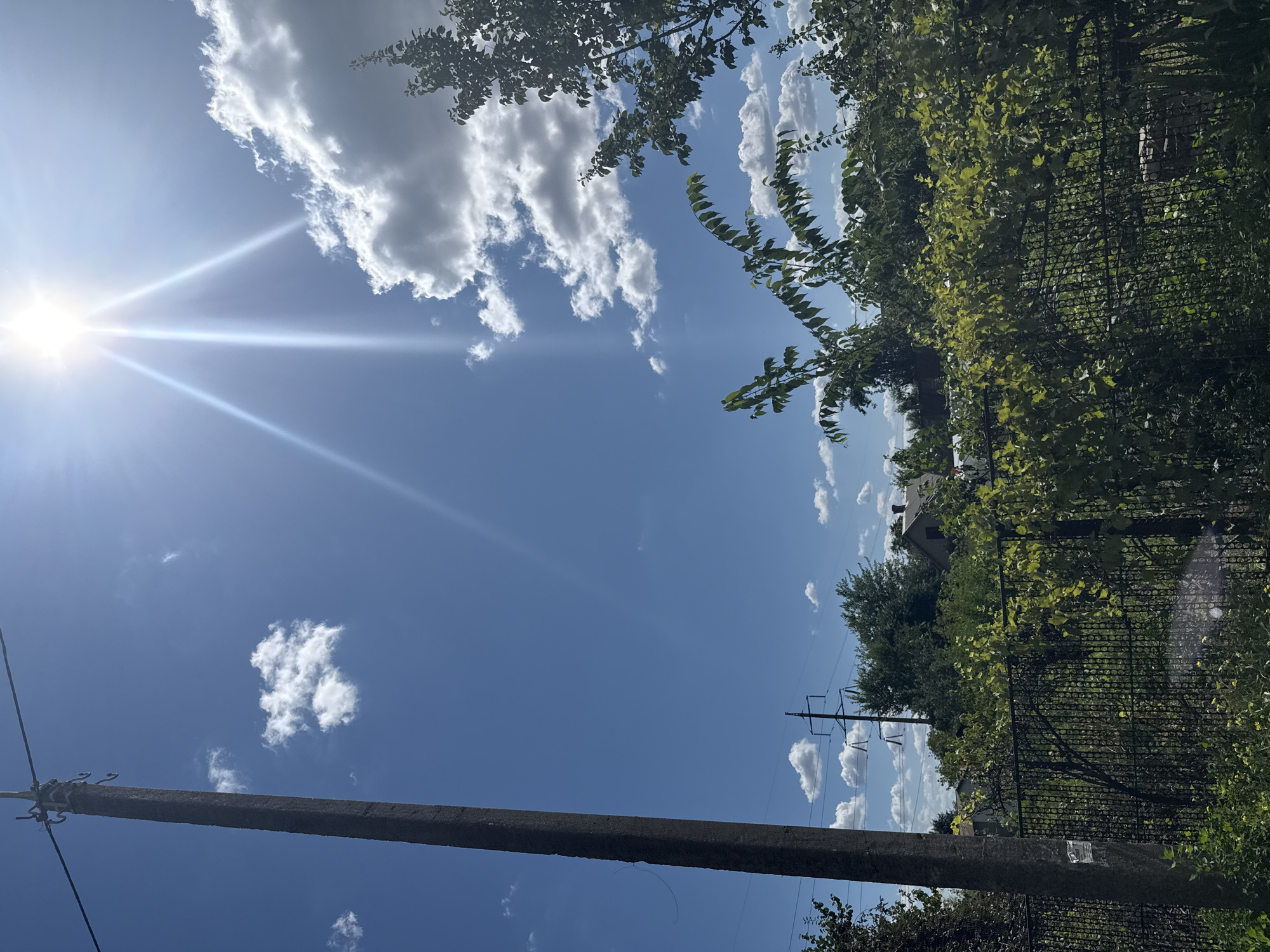 The image depicts an outdoor scene on a sunny day, likely in Zaporizhzhia, Ukraine, given the context provided. In the foreground, a dark, weathered utility pole stands on the left, with a wire extending from its top towards the right. Behind the pole, a black metal fence runs horizontally across the frame, partially obscured by dense green foliage. Beyond the fence, several trees and houses with pitched roofs are visible. In the background, a clear blue sky is dominated by the bright sun, which is high in the frame and emitting strong lens flares. Scattered white cumulus clouds drift across the sky. A power line pylon with insulators can be seen in the middle distance. The overall impression is of a suburban or rural residential area on a bright, clear day.