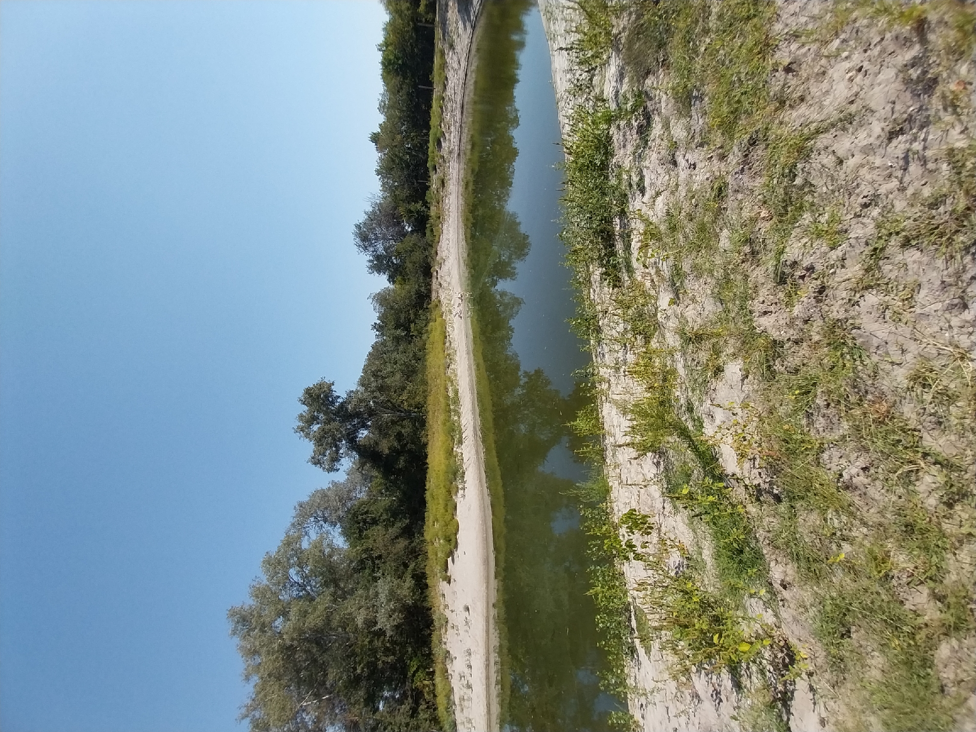 The image depicts a tranquil scene of a small, irregularly shaped pond situated in an open area with sandy banks and sparse vegetation. The pond's water is a murky green and reflects the clear, light blue sky and the surrounding trees. The banks are composed of light-colored sand with patches of green grass and small plants growing on them. In the background, a dense line of trees forms a natural boundary. There are no people or animals visible in the immediate vicinity of the pond. The overall impression is one of a natural, undeveloped landscape.
