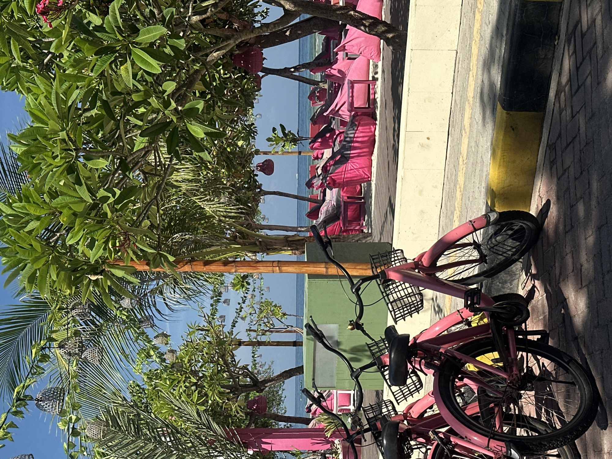 The image shows a view of the ocean in what is likely a tropical resort area of an unidentified city in Indonesia. In the foreground, there are several pink bicycles parked on a brick sidewalk, near a curb with black and yellow coloring. Behind the bicycles, there's a row of pink lounge chairs and beanbags on a patio. The scene is framed by palm trees and other tropical vegetation. The ocean is visible in the background, creating a tranquil, beachfront atmosphere.