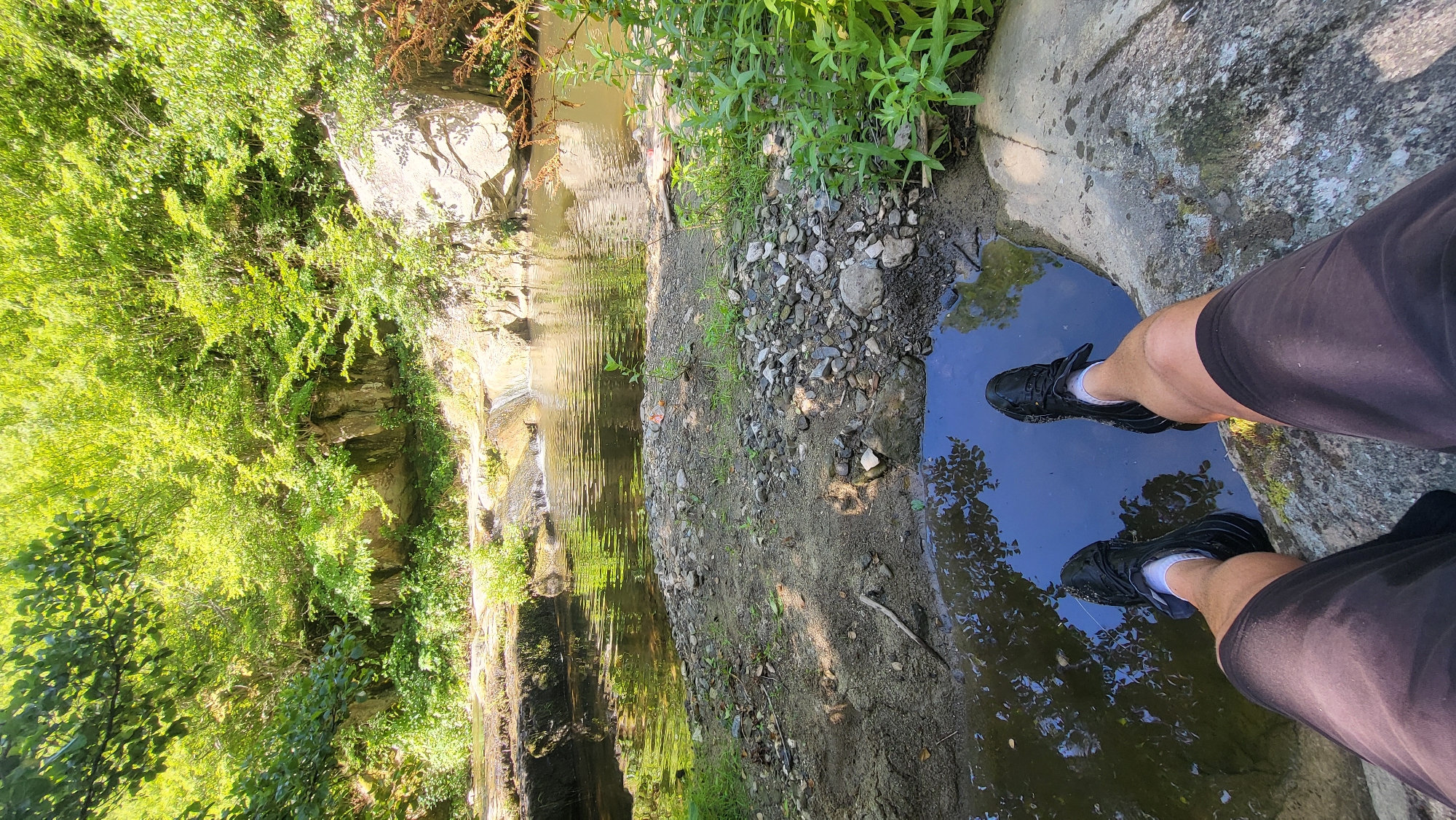 The image shows a person's legs and feet, clad in black shorts and black athletic shoes with white socks, submerged in a small, clear puddle of water. The person is sitting with their legs extended, one foot slightly deeper in the water than the other. The puddle is set within a rocky, natural environment.
The surrounding scene is a lush, green forest with dense foliage on the left side of the frame. A shallow stream or waterfall cascades down rocky ledges in the background, reflecting the bright sunlight. The ground is a mix of dirt, small stones, and pebbles. The time of day appears to be sunny, likely midday, given the strong shadows and bright illumination. The weather seems warm and pleasant, conducive to outdoor activities. The presence of the stream and dense vegetation suggests a natural, possibly rural or wilderness setting. The overall mood is relaxed and serene, with the person seemingly enjoying a moment of rest in nature. There is no visible text in the image. The location is identified as Rechitsa, Bulgaria.