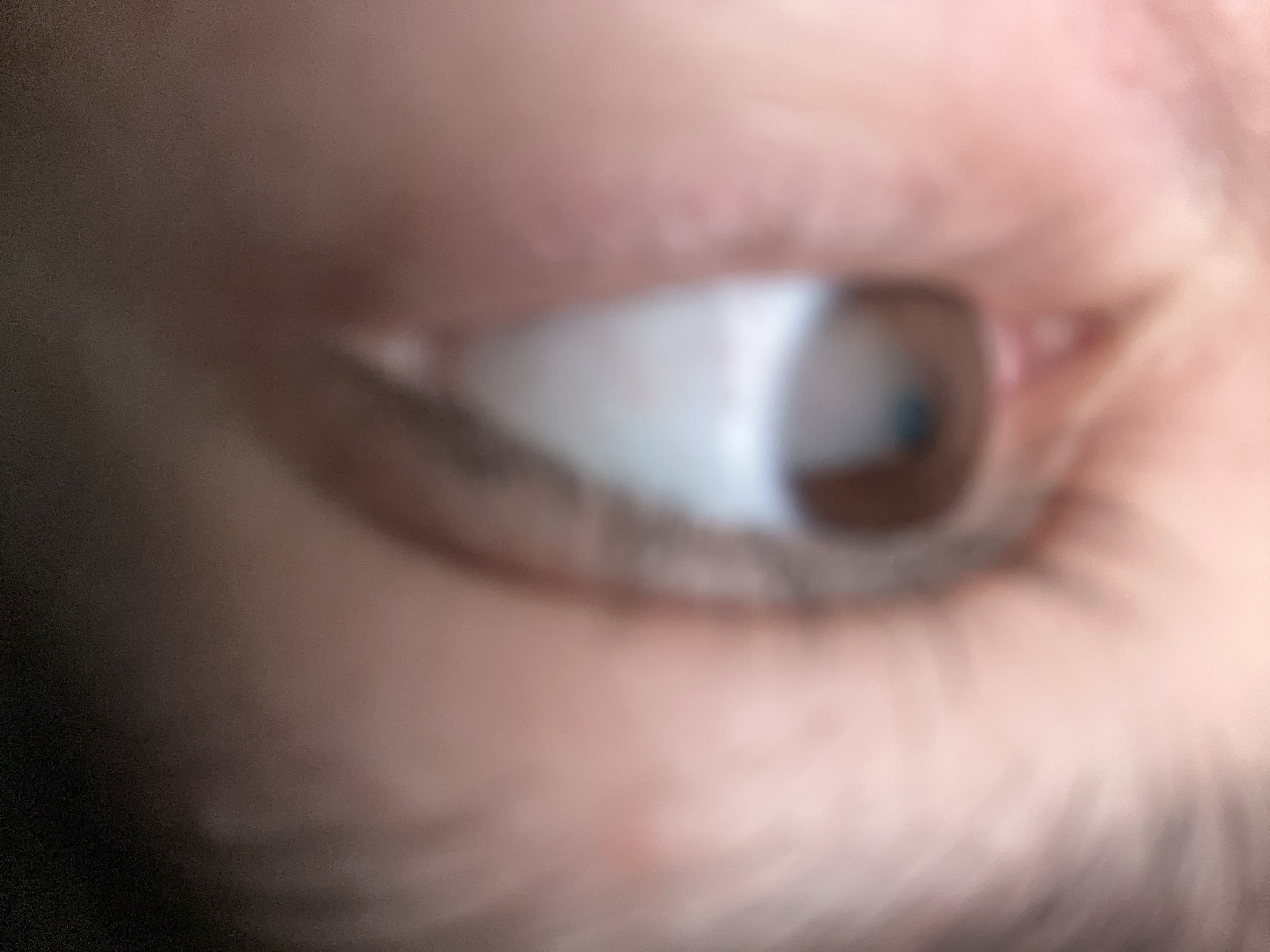 The media file consists of an original image and several cropped sections, all depicting a highly blurred, extreme close-up of a human eye.
The primary subject is a human eye, likely the right eye, shown in profile or from a sharp angle, looking towards the right side of the frame. The white sclera is prominently visible, and a small portion of what appears to be a light blue or brownish iris with a pupil can be seen towards the right edge of the eye. The skin surrounding the eye, including the eyelid and possibly the brow area, takes up much of the rest of the frame. Hints of eyelashes or eyebrow hairs are discernable as soft, darker streaks against the skin.
The image is severely out of focus, creating a soft, ethereal, and indistinct appearance. This blurriness makes it difficult to discern fine details, textures, or specific colors of the iris. The lighting appears soft and indirect, illuminating the skin tones, which range from light pink to a warmer, subtle brown. There are no clear indications of the time of day, specific location cues, or discernible emotions due to the abstract nature of the close-up and significant blur.
The provided crops are even more abstract and serve to emphasize the extreme blur and dominant skin tones seen in the original image. They show various indistinct shades of pink, brown, and shadowy areas, further reinforcing the close-up, out-of-focus nature of the media. No text is visible in any of the images.
