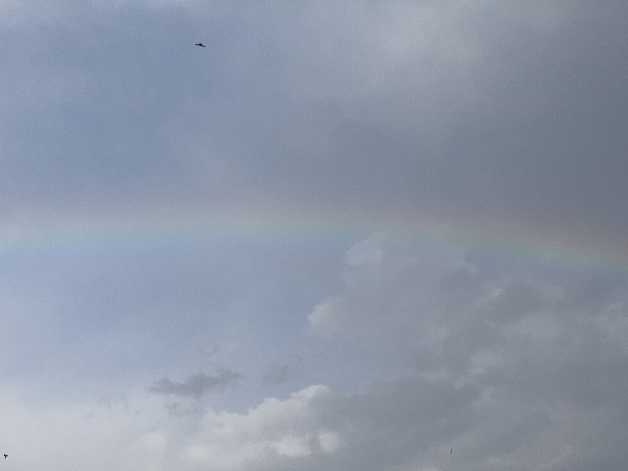 The image shows a pale rainbow in a cloudy sky. The lower portion of the sky is filled with cumulonimbus clouds, with lighter cirrus clouds above and a darker cumulonimbus formation at the bottom. A small bird is visible in flight at the top left of the frame. Another bird is barely visible in flight at the bottom left. The image was taken in Erdemli, Turkey.