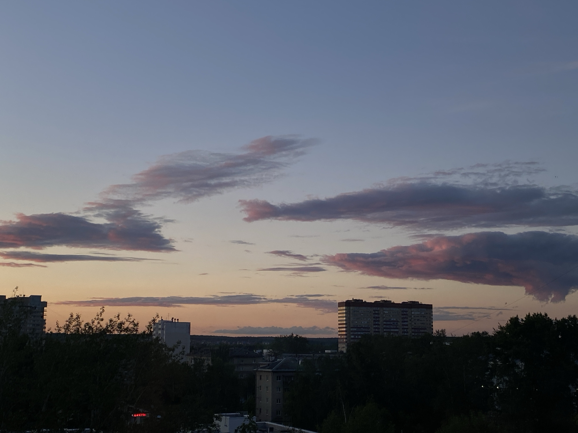 The image captures a dusky twilight over a cityscape. The sky is a gradient of pale blue at the top, transitioning to soft oranges and pinks near the horizon, illuminated by scattered clouds that are tinged with purple and pink hues. In the foreground and middle ground, a dense canopy of dark green trees obscures much of the lower urban landscape.
Several buildings are visible above the trees, including apartment blocks. One prominent, multi-story apartment building on the right side of the frame is brightly lit, its windows reflecting the fading light. Another building to the left appears to be under construction. In the distance, the silhouette of more buildings and trees suggests a sprawling urban area.
The time of day is clearly evening or early morning, indicated by the soft, diffused light and the colors of the sky. The weather appears calm, with the clouds moving gently. The scene evokes a sense of quietude and the transition from day to night.
There is a small red neon sign visible on a building in the lower middle left part of the image. The visible text reads "ЦВЕТЫ", which translates to "FLOWERS" in Russian, indicating a flower shop. There are no people clearly visible in the image. The overall impression is a serene view of a Russian city at dusk.