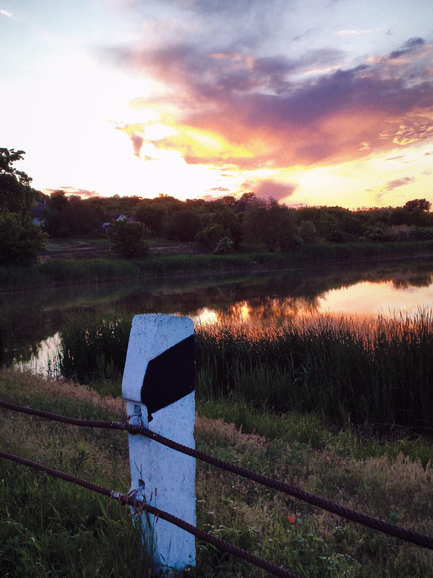 The image depicts a sunset over a body of water, possibly a lake or wide river, adjacent to a grassy area with a rudimentary guardrail. The location is likely near or within the city of Ustyvytsia, Ukraine.
The sky shows a vibrant sunset with hues of orange, pink, and purple, reflected in the still water. The shoreline is densely vegetated.
A concrete post, marked with a black chevron, supports a metal cable guardrail. The guardrail is partially obscured by tall grass and other vegetation. The area appears to be a roadside or embankment.