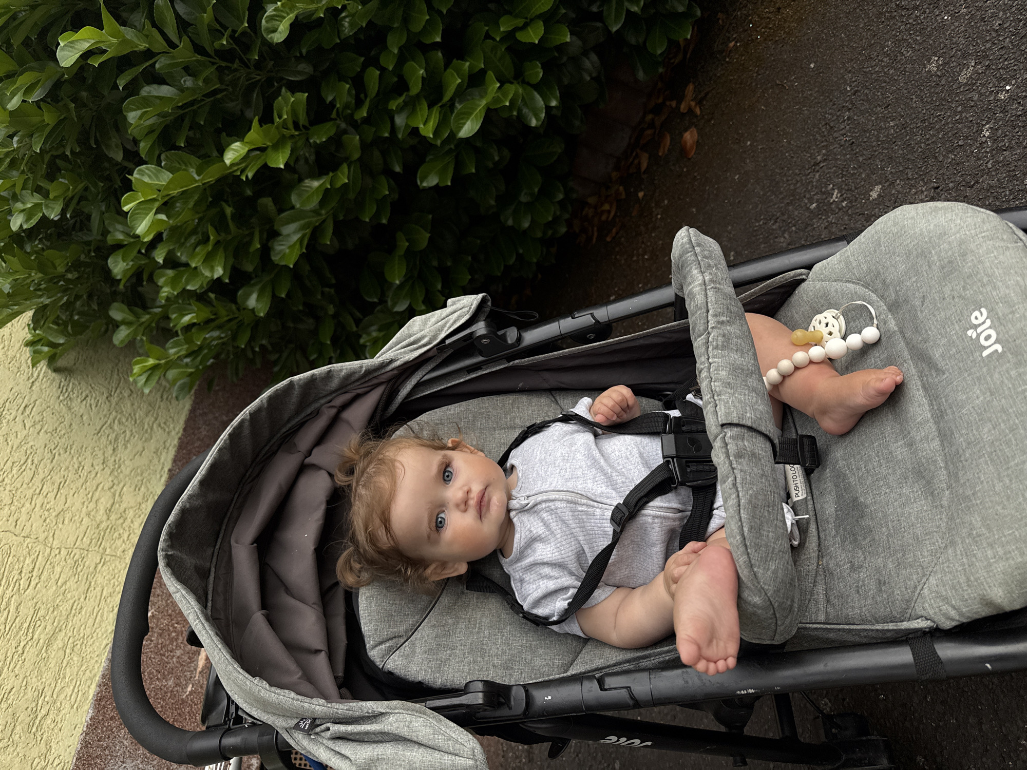 An infant with light brown hair in two buns and blue eyes is seated in a gray stroller. The infant is wearing a light gray, short-sleeved onesie and has a pacifier attached to a beaded string. The stroller is placed on an asphalt surface next to a green leafy bush. The background shows a yellow-textured wall. The scene appears to be outdoors in an urban or suburban environment, possibly Oberquembach, Germany.