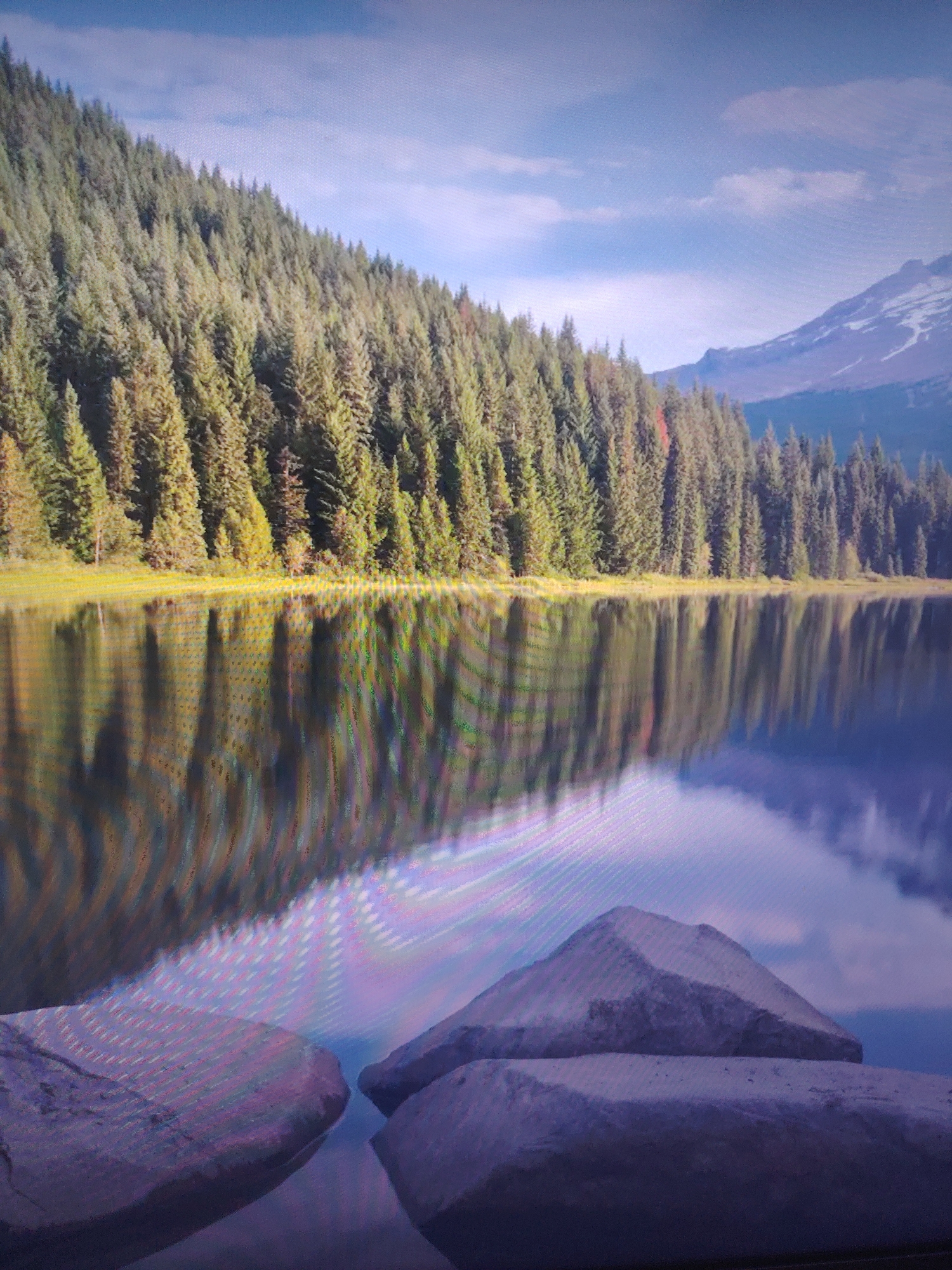 A serene landscape features a calm lake reflecting a dense evergreen forest and a snow-capped mountain in the background. In the foreground, several rocks are partially submerged in the water. The sky is visible with light clouds. The location is not identifiable.