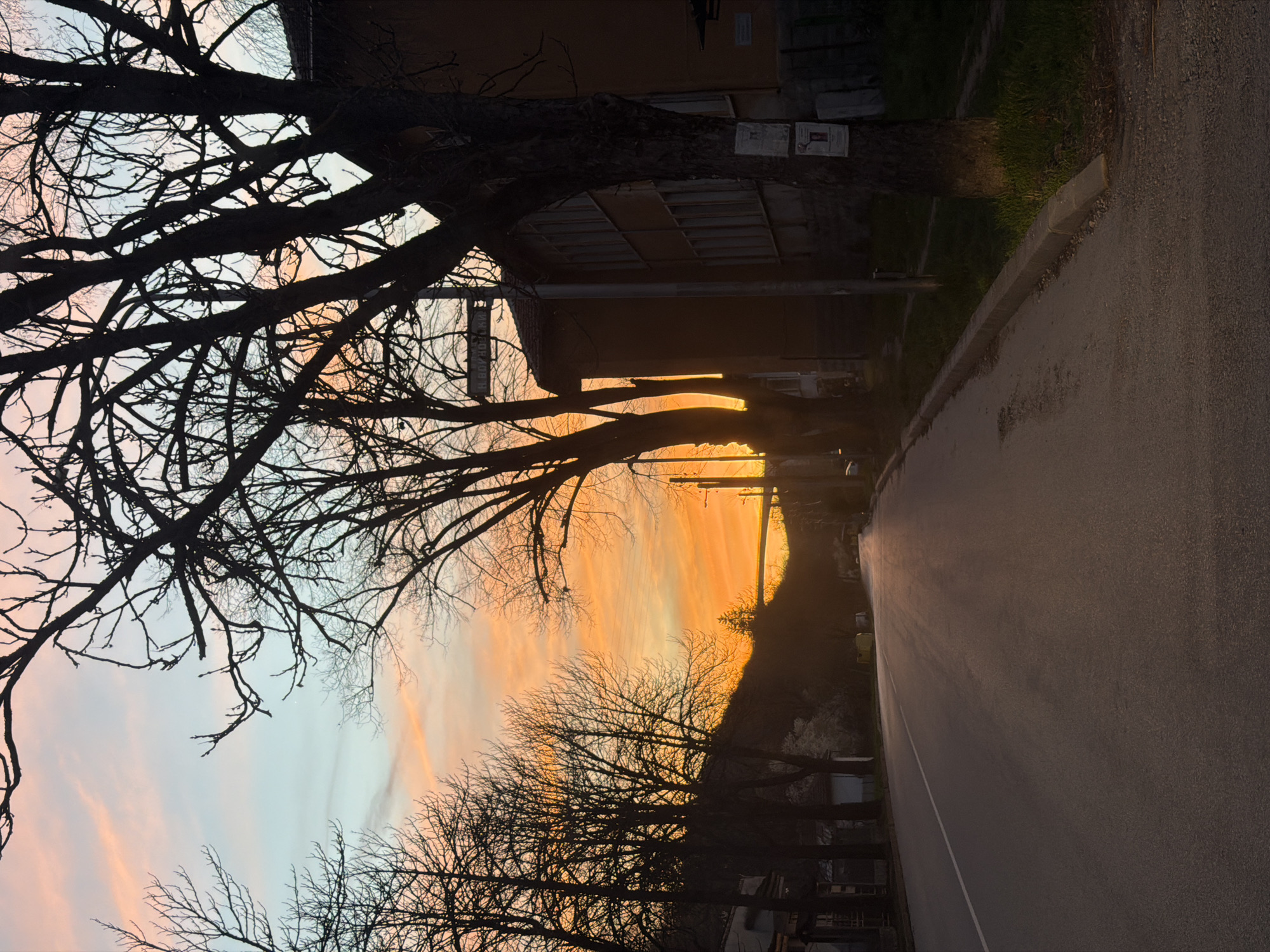 The image shows a road scene in Gabrovo, Bulgaria, at sunset. The road occupies the right side of the frame, with a white line marking its edge. Silhouetted leafless trees line the opposite side of the street, their branches stark against the colorful sunset sky, which transitions from orange near the horizon to a pale blue higher up. A building is partially visible behind the trees. The perspective is looking down the road towards the setting sun, which creates a bright glare on the asphalt.