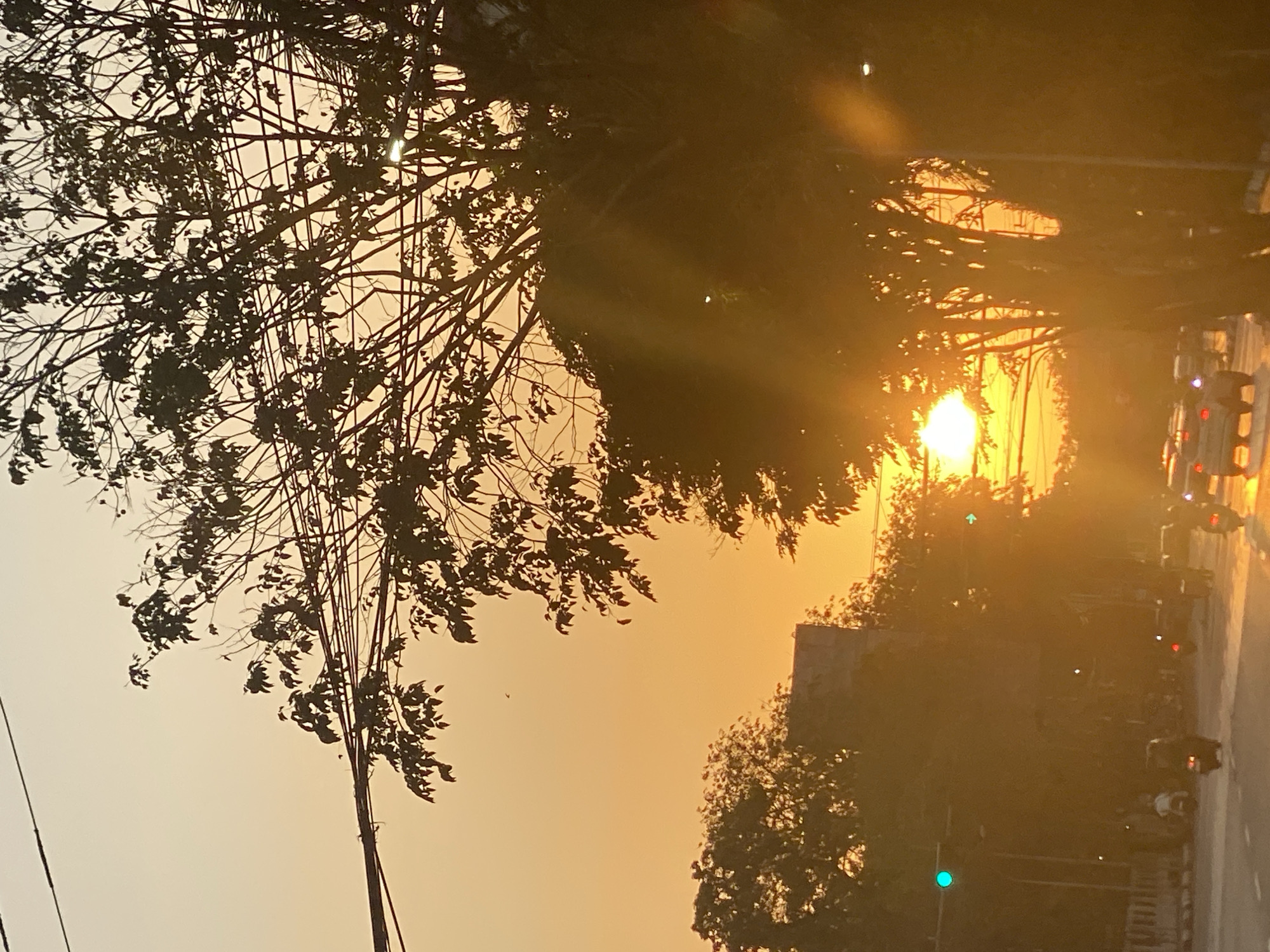 The image captures a street scene in Banjarmasin, Indonesia, during a sunset. The sky is a gradient of orange and yellow, with the sun setting low on the horizon, creating a bright flare that obscures details in the foreground. Silhouetted trees with dense foliage and bare branches dominate the right side of the frame, their forms stark against the luminous sky. Power lines are visible crisscrossing the upper portion of the image.
In the mid-ground, a road is visible with several vehicles, including cars and motorcycles, moving in both directions. Traffic lights are present; one green light is clearly visible on the left, and a smaller green arrow light is seen on the right. The vehicles and road surface are bathed in the warm, diffused light of the sunset, which also casts a haze over the scene. On the left side of the road, there appears to be a sidewalk and possibly a building in the distance, partially obscured by trees. The overall impression is one of a typical urban evening commute in a tropical climate.