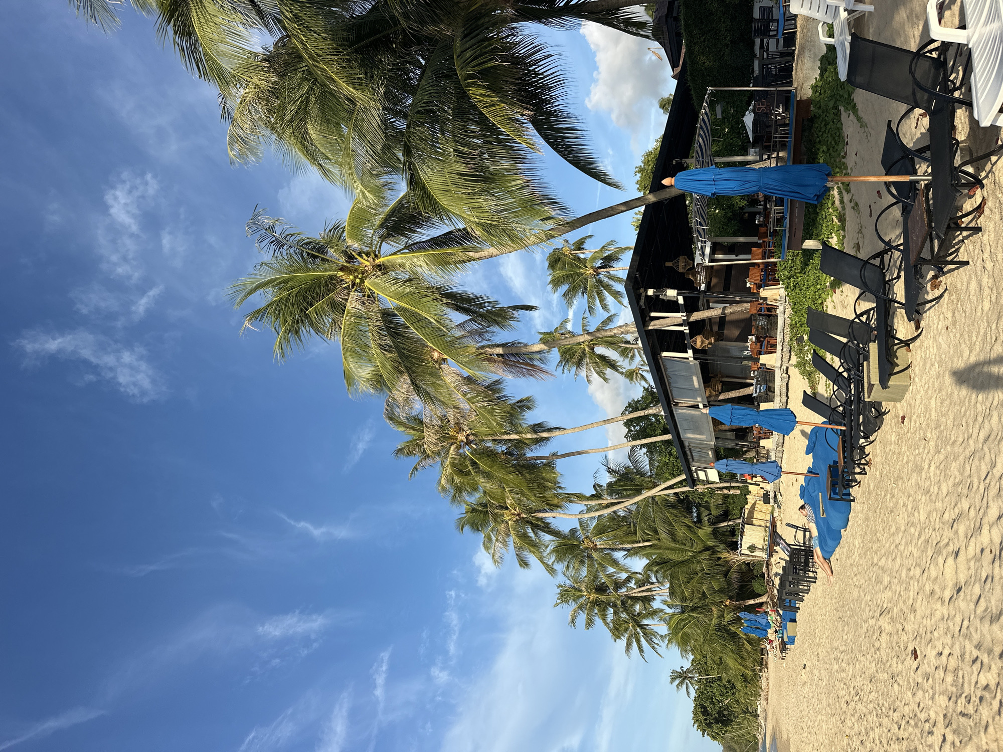 A beach scene is depicted in Ko Samui District, Thailand, under a bright blue sky with scattered white clouds. The foreground is dominated by a sandy beach with rows of empty black lounge chairs, some with small tables in between. Several blue beach umbrellas are positioned throughout the seating area.
Behind the lounge chairs, a low-rise building with a dark roof and glass-paneled walls serves as a beachfront establishment, possibly a restaurant or bar. Palm trees with vibrant green fronds line the edge of the beach and extend behind the building, casting shadows on the sand. The ocean is visible on the far left of the image, meeting the sandy shore. One person is visible lying on a blue beanbag chair on the sand. The overall impression is a serene and sunny day at a tropical beach resort.