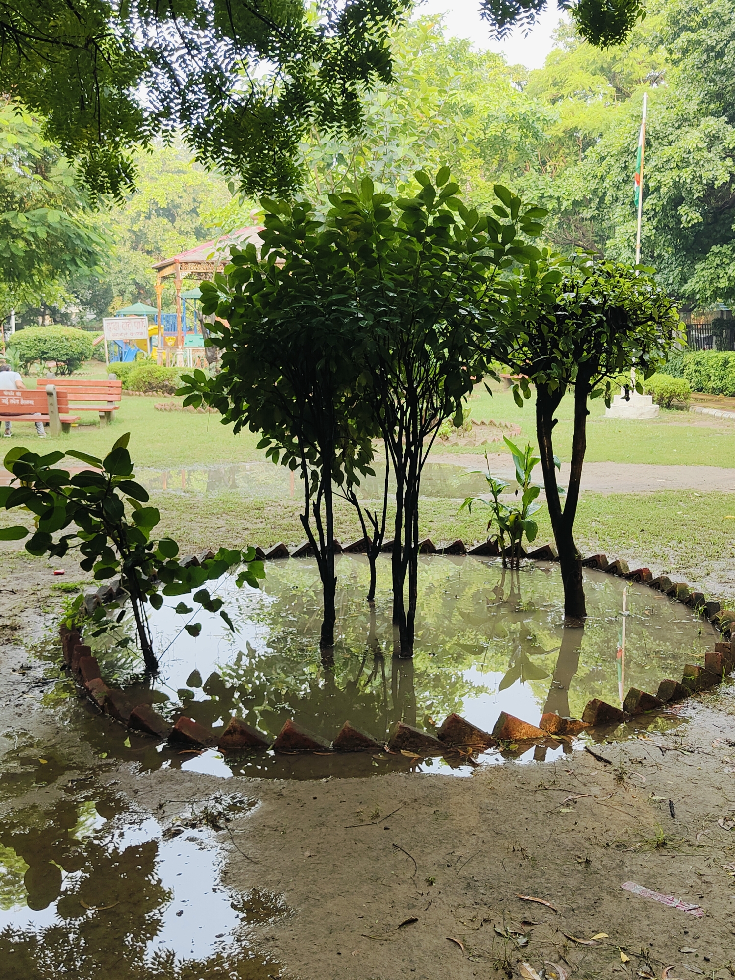 The image shows a flooded garden area in Gurgaon, India, likely a public park, with several young trees growing in a circular, brick-lined depression filled with murky water. The water reflects the surrounding greenery and the sky. In the background, a playground with colorful structures is visible, along with a few park benches. A flag is seen fluttering on a pole in the distance. The ground is muddy and covered with fallen leaves. The overall scene depicts a post-rain scenario in an urban green space.