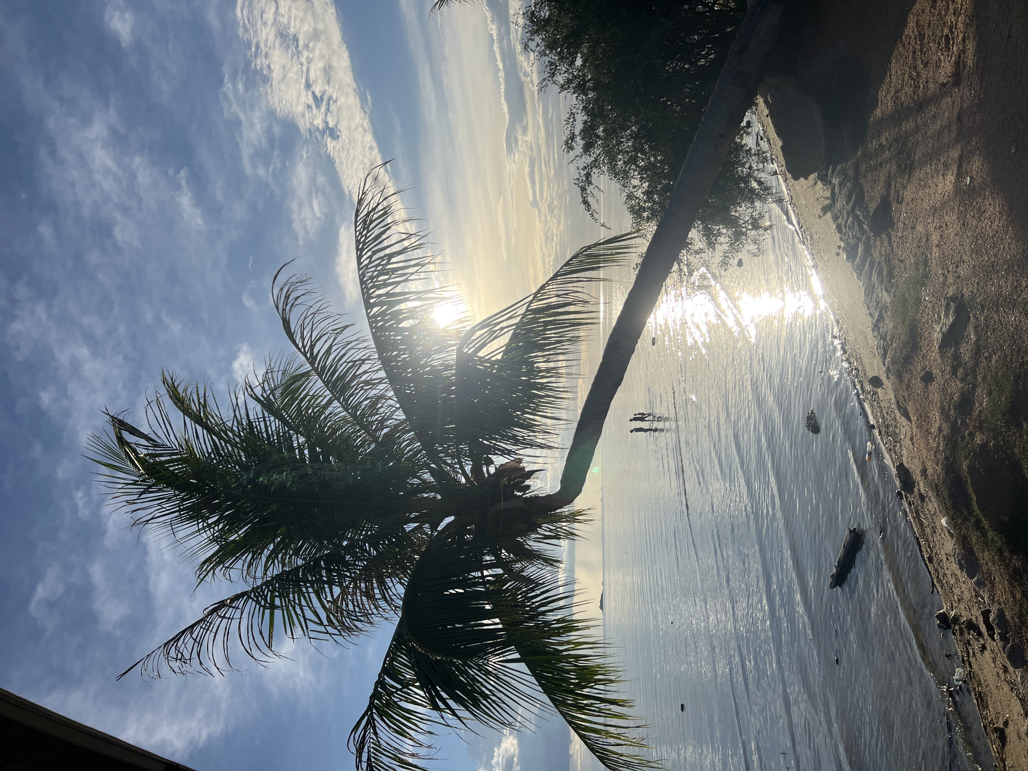 The image depicts a serene beach scene at sunset on Koh Phangan, Thailand. A prominent palm tree, with its fronds casting shadows, leans over a sandy shore. The sun, low in the sky, creates a dazzling reflection on the calm ocean surface. Two indistinct figures can be seen walking along the water's edge, adding a sense of scale and tranquility to the scene. The sky is a mixture of blue with wispy white clouds, indicative of pleasant weather. The overall mood is peaceful and idyllic, evoking a feeling of a perfect tropical evening. There is no visible text in the image.