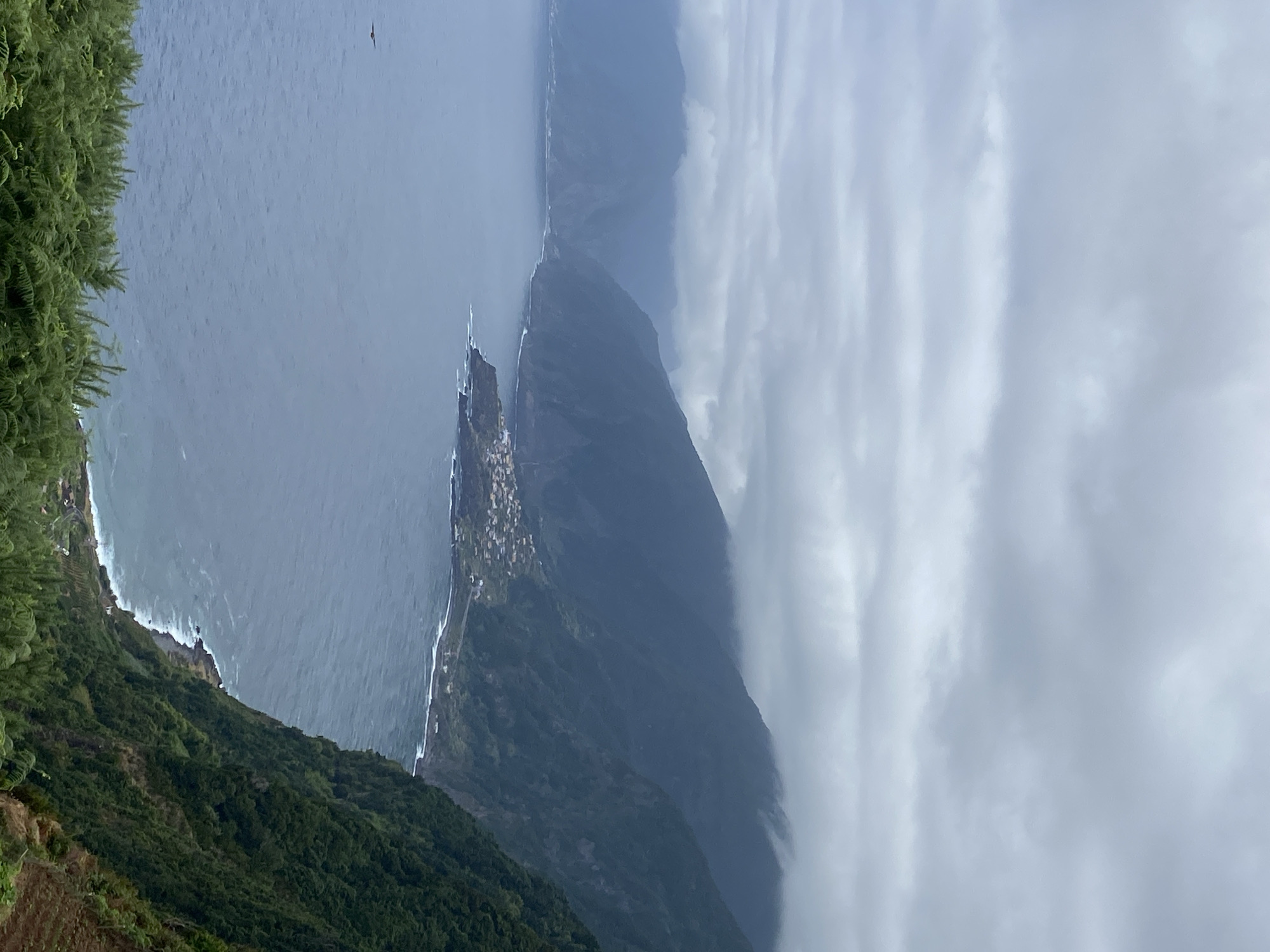 This is a vertical, medium shot of a rugged, coastal landscape under an overcast sky. In the foreground, lush green ferns and other foliage cover a steep slope. The middle ground features the vast, blue ocean meeting a rocky coastline. Along the coast, nestled into the side of a verdant, mountainous terrain, is a small village with buildings featuring orange and red roofs. The mountains themselves are covered in dense green vegetation, with some peaks obscured by low-hanging clouds. In the far distance, more misty mountains rise from the sea. A small bird is visible in flight over the water. The scene depicts the dramatic natural beauty of Porto Moniz, Portugal, known for its volcanic swimming pools and rugged coastline.