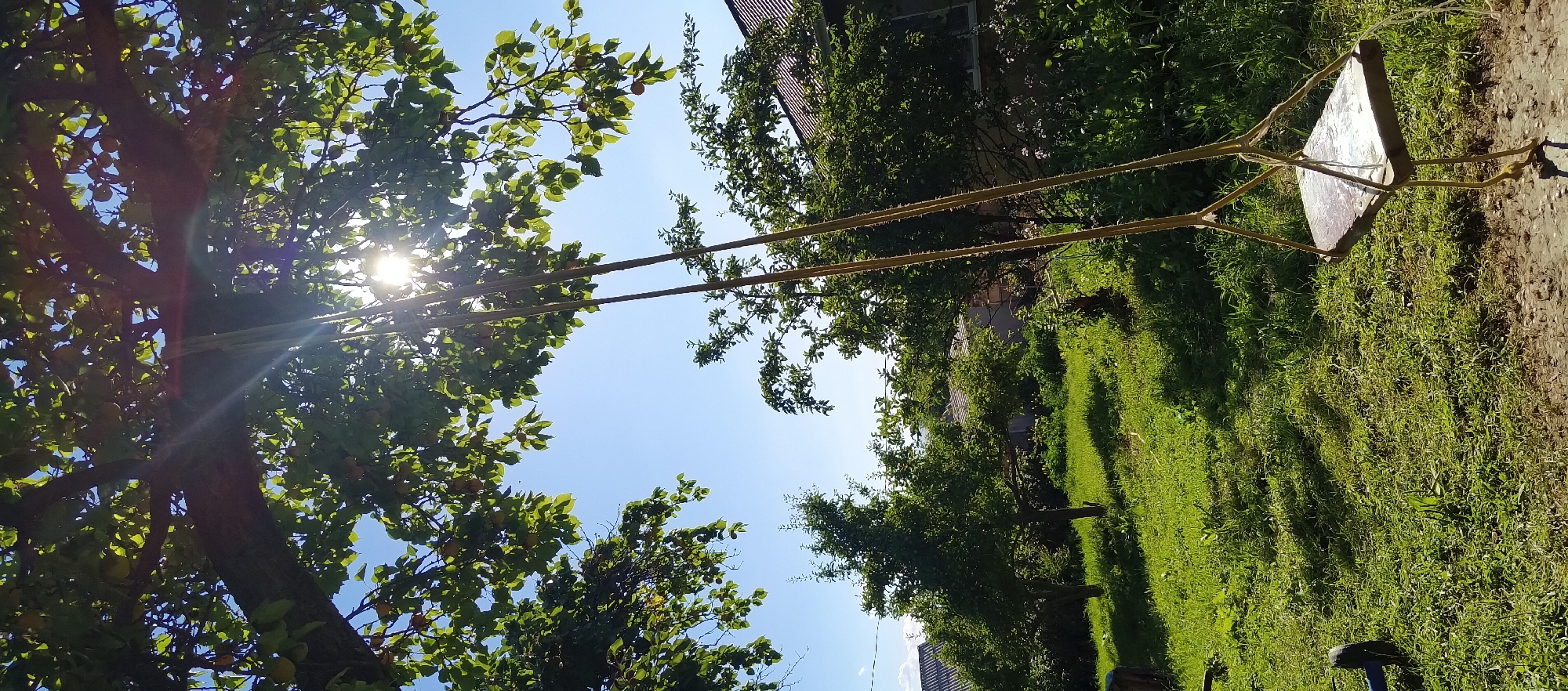 An outdoor scene depicts a wooden swing suspended from a tree branch, its seat glinting in the sunlight. The swing hangs in the foreground against a backdrop of lush green grass and trees. The sun, partially obscured by the tree's leaves, casts bright rays across the image, creating lens flare. In the middle ground, several trees are visible, and further in the background, buildings with tiled roofs suggest a residential area. The sky is a clear, bright blue. The location is identified as Barskoon, Kyrgyzstan. There are no people or animals visible in the frame.