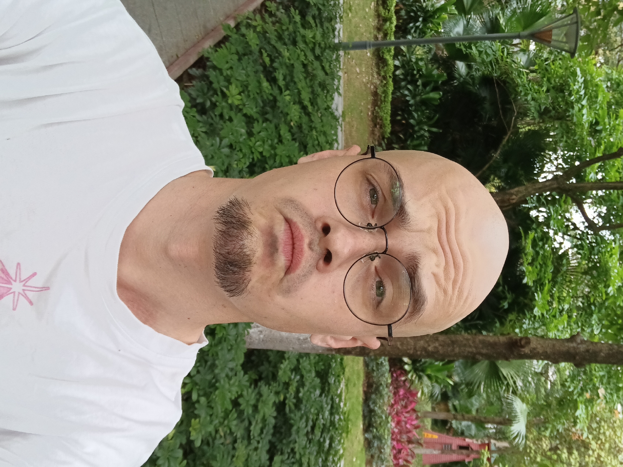 A medium shot shows a bald man with round glasses, a soul patch, and a white t-shirt. He is outdoors in the Shunde District, China, identifiable by the local flora and the presence of a decorative lamp post. The man is facing the camera with a slight frown. Behind him are lush green bushes and trees. Red flowers are visible in the background.