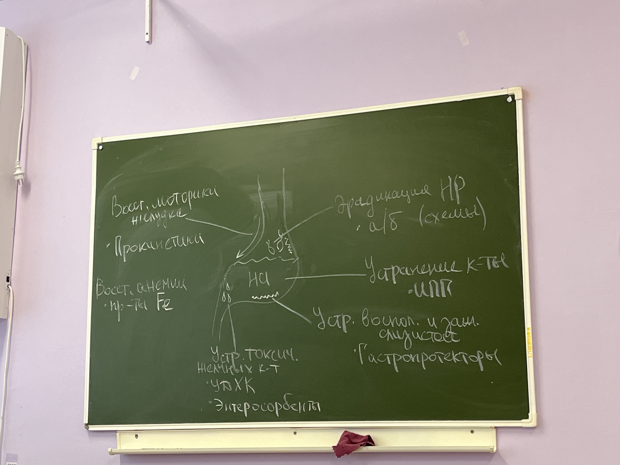 The image shows a green chalkboard mounted on a light purple wall. The board is covered with writing and diagrams in white chalk, appearing to be notes from a lesson related to gastroenterology. The writing is mostly in Russian. Key elements mentioned include "motility of the stomach," "prokinetics," "anemia," "iron preparations," "HCl," "toxic bile acids," "eradication of HP," "PPI," and "gastroprotectors." A schematic drawing of the stomach with arrows indicates various processes or treatments. There is a dark red cloth/rag lying on the ledge beneath the chalkboard. The location is in Russia, Chaikovsky.