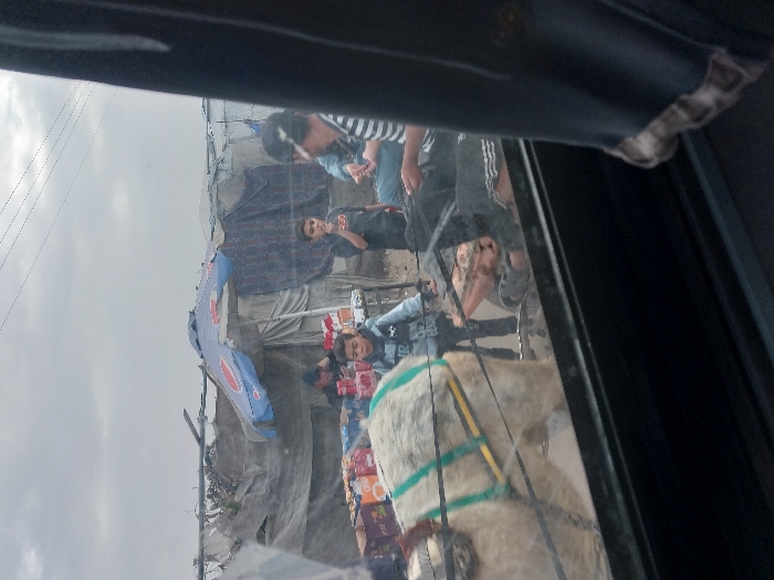 The image, taken from inside a vehicle looking outwards, captures a vibrant roadside scene or market stall under an overcast sky. The top and right edges of the original image show parts of the vehicle's dark interior, indicating the viewer's perspective through a window.
In the center of the frame, several individuals are gathered around what appears to be a makeshift stall or dwelling constructed from tarpaulins and draped fabric. A prominent blue banner with the word "PEPSI" in white and red lettering is displayed on the left side of this structure.
On the right side of the stall, a man wearing a striped shirt and dark pants stands, looking downwards. He has sunglasses perched on his head. Slightly behind him and to his left, a younger man in a black t-shirt is visible, looking directly towards the camera.
Towards the lower right portion of the image, partially obscured by the vehicle's frame, a light-colored donkey or horse is visible, fitted with a green and yellow harness. It appears to be laden with goods or connected to a cart, though the cart itself is not clearly visible.
To the left of the animal and in front of the stall, an array of packaged goods, including snacks and drinks in boxes and plastic wrappers, are displayed on a surface. Another person with dark hair and a light face is seen near these goods, seemingly tending to them. Further to the right, a person with a beard and light-colored face is observed lying down or leaning back.
In the background, overhead power lines or telephone wires stretch across the cloudy, light grey sky, suggesting an outdoor setting during the daytime. The overall impression is one of a bustling outdoor vending area, possibly in a rural or semi-urban environment.