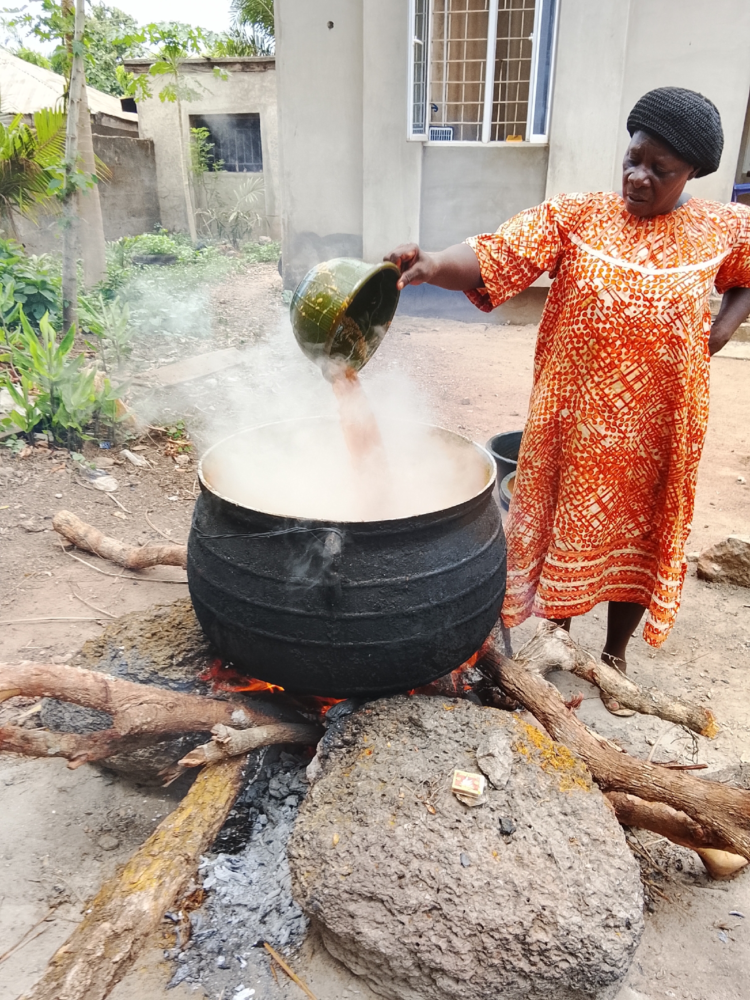 In an outdoor setting, a woman is actively engaged in cooking over an open fire. She is seen from the waist up, wearing a vibrant orange and white patterned dress and a dark, possibly knitted or woven, cap on her head. Her attention is focused on a large, heavy-duty black pot, from which a significant amount of steam is rising, indicating intense heat and boiling contents. With her right hand, she is carefully pouring a reddish-brown liquid from a dark green bowl or gourd into the steaming pot.
The pot rests directly on a makeshift stove composed of several large rocks and burning wooden logs. Flames are visible beneath the pot, and ashes are scattered around the base of the fire. More logs are arranged nearby, ready to be added to sustain the fire. On one of the large grey rocks serving as a support, a small matchbox is visible, although the text on it is unreadable.
In the background, a simple, light-colored concrete building with a barred window can be seen, suggesting a residential or communal area. Lush green vegetation, including what appears to be a palm tree and other leafy plants, frames the scene, hinting at a tropical or subtropical environment. The ground is bare earth. The time of day appears to be daytime, with ample natural light illuminating the scene. The woman's expression is one of concentration as she performs her task.