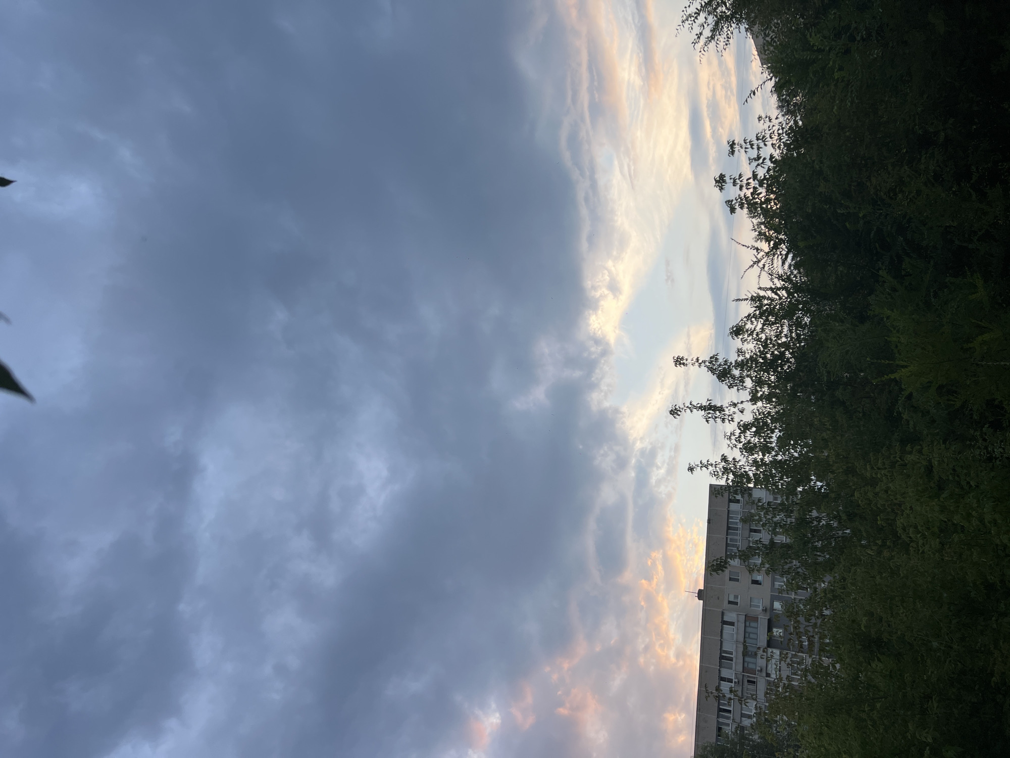 This image shows a twilight view of a multi-story apartment building in Ulyanovsk, Russia, seen through a dense canopy of dark green trees and foliage. The sky above is filled with dramatic, dark gray clouds, with lighter, illuminated patches of pink and orange near the horizon, indicating the setting sun. The apartment building, a typical Soviet-era structure, is light gray and features numerous windows, some appearing to have air conditioning units attached. The trees in the foreground are lush and mostly obscure the lower floors of the building, creating a contrast between the natural elements and the urban architecture. The overall atmosphere is serene and somewhat somber, typical of an overcast evening.