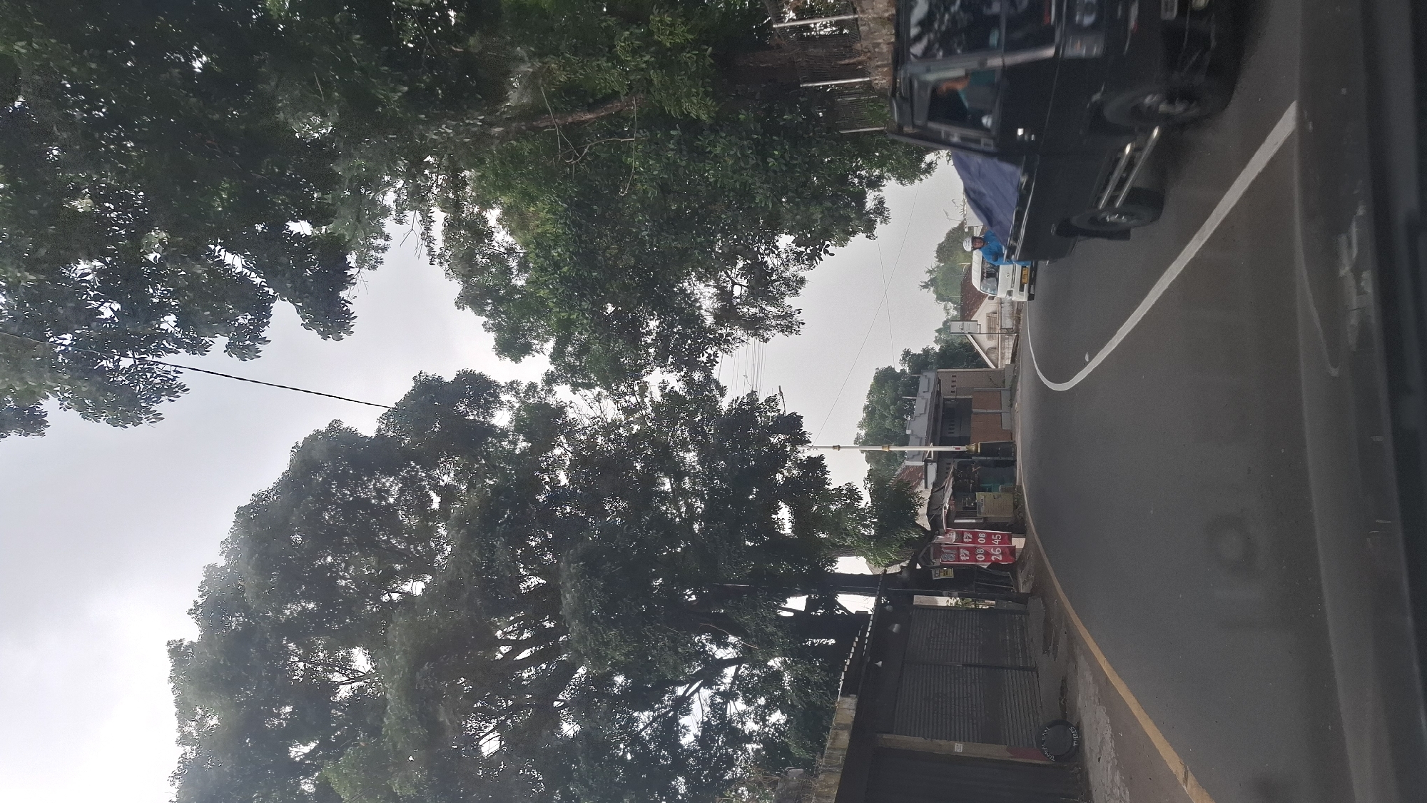 The image depicts a curved road in Cilaku, Indonesia, with a cloudy sky overhead. Large trees line both sides of the road, their dense foliage creating a natural canopy. On the left side of the road, a row of low-rise buildings with corrugated metal shutters is visible, suggesting a commercial or residential area. A yellow line marks the edge of the road.
On the right side of the road, a black pickup truck with a blue tarp covering its cargo bed is moving away from the camera. A person can be seen in the driver's seat of the truck. Further down the road, a white van with its hazard lights on is approaching. A person wearing a blue garment and a white helmet is standing next to the van. The road itself is paved and has a white dividing line. The environment appears to be a somewhat rural or semi-urban setting, characterized by the presence of both nature and man-made structures.