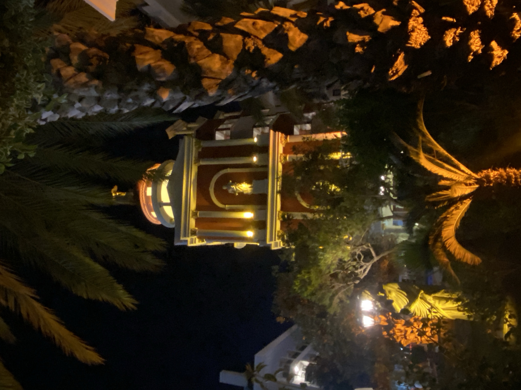 The image depicts the Alanya Lighthouse in Alanya, Turkey at night. The lighthouse is framed by palm trees and other foliage. It is illuminated, showing its red and white paint scheme. The sky is dark. Some residential buildings are visible in the lower portion of the image. The photo seems to be taken from a low vantage point.