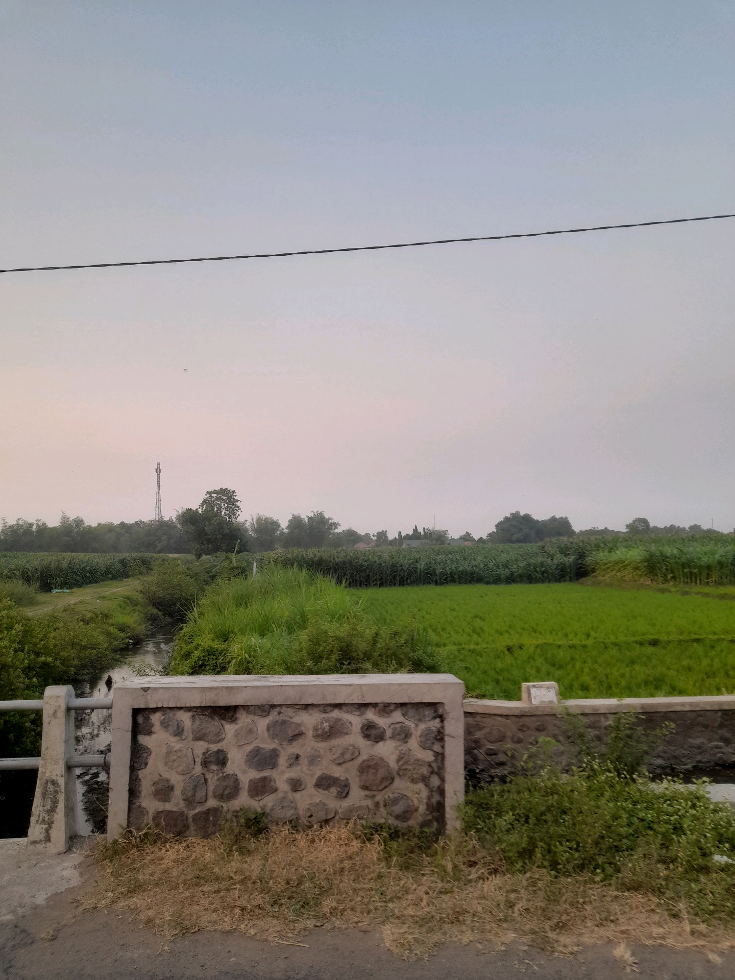 A rural landscape scene is depicted, possibly in the Gudo, Indonesia area, under an overcast sky. In the foreground, a concrete and stone wall forms a barrier beside a dirt road. Beyond this wall, a small waterway is visible, bordered by lush green vegetation. Further in the background, expansive fields of crops, likely rice paddies or cornfields, stretch across the landscape. A few trees dot the horizon, and a communication tower can be seen in the distance. The overall impression is one of agricultural tranquility, with no people or animals present in the frame.