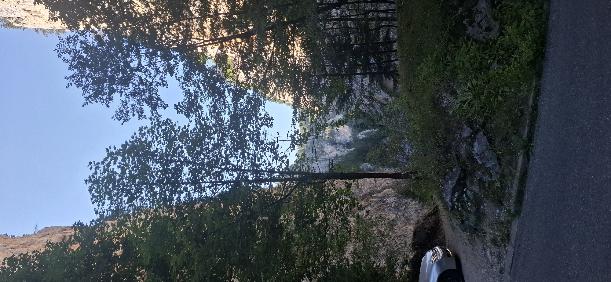 This is a vertical, eye-level, medium shot taken outdoors in the Trigrad Gorge, Bulgaria. The scene depicts a narrow, winding road in the foreground. To the left of the road, a silver car is parked on a gravel shoulder. Beyond the car, a steep, rocky cliff face rises dramatically. The road curves away into the distance, bordered by lush green vegetation on the right. In the background, the rugged, layered cliffs of the gorge dominate the view, with scattered trees and vegetation clinging to their sides. The sky above is a clear, bright blue. The lighting suggests it is late afternoon or early morning, with soft sunlight casting long shadows.