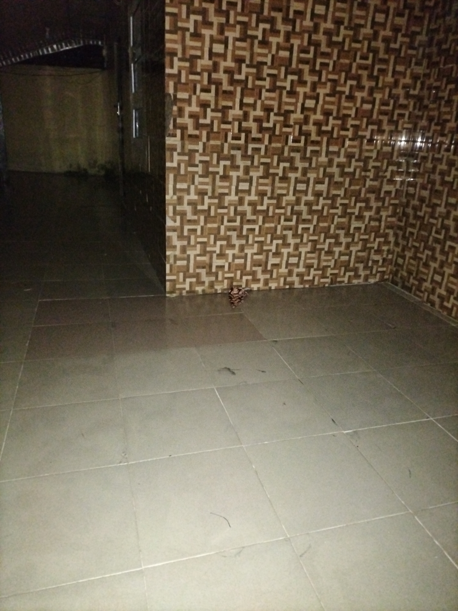 The image depicts an interior space with tiled flooring and a wall covered in a patterned tile mosaic. The wall features a repeating geometric design in shades of brown and beige. In the foreground, large, light gray square tiles form the floor. A dark, indistinct object, possibly a pile of debris or a small animal, is situated near the base of the tiled wall. The left side of the image shows a dimly lit area with a curved, corrugated roof structure and a light-colored wall. The overall impression is that of an unmaintained or partially constructed indoor area, possibly a hallway or an unused room, located in the city of Jalingo, Nigeria.