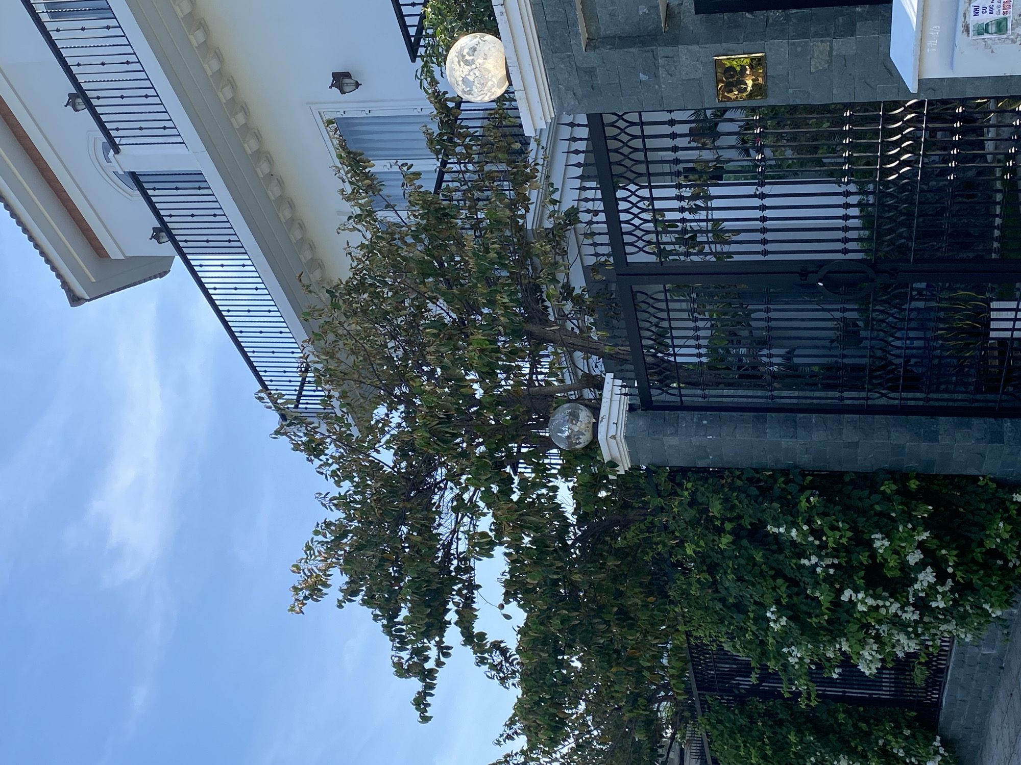 The image shows the facade of a white, multi-story building in Bac Nha Trang Ward, Vietnam. The building features a dark-railed balcony on the upper level and several windows. In front of the building is a black wrought-iron gate and a fence. A large tree with green and brown leaves is situated between the gate and the building, partially obscuring the facade. The fence is adorned with flowering vines that have small white blossoms. The gate is supported by stone pillars, one of which has a decorative spherical light fixture. Another similar light fixture is visible on a lower section of the building. A small mailbox is present on a white stand to the right of the gate. The sky above is blue with scattered clouds.