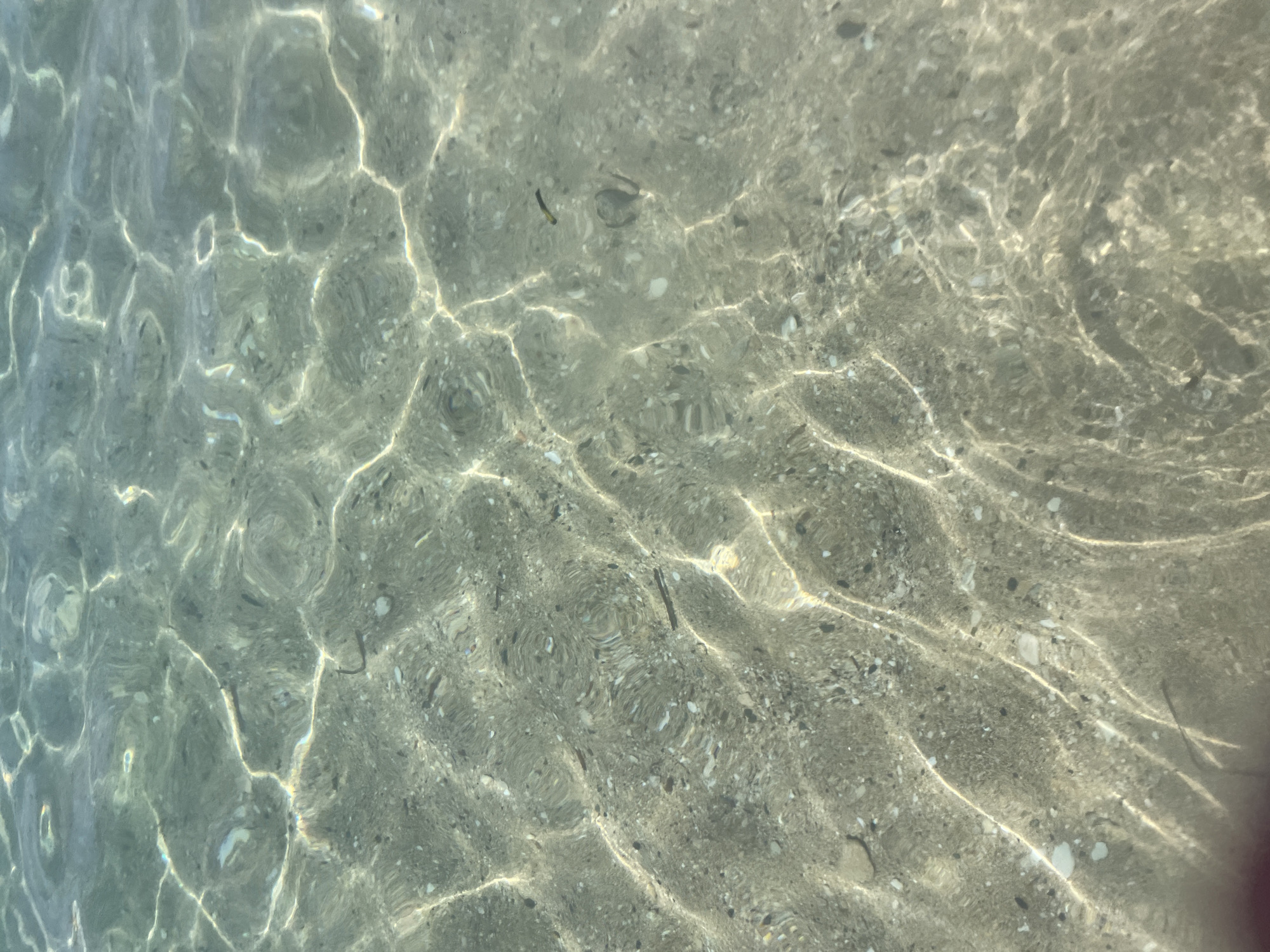 The image shows a close-up, overhead view of shallow, clear water over a sandy seabed with scattered small shells and pebbles. Sunlight filters through the water, creating shimmering patterns of light and shadow on the seabed. There are no people or identifiable man-made objects visible in the image, nor is there any indication of the specific location within the city of Paphos Municipality, Cyprus, beyond it being a coastal or aquatic environment.