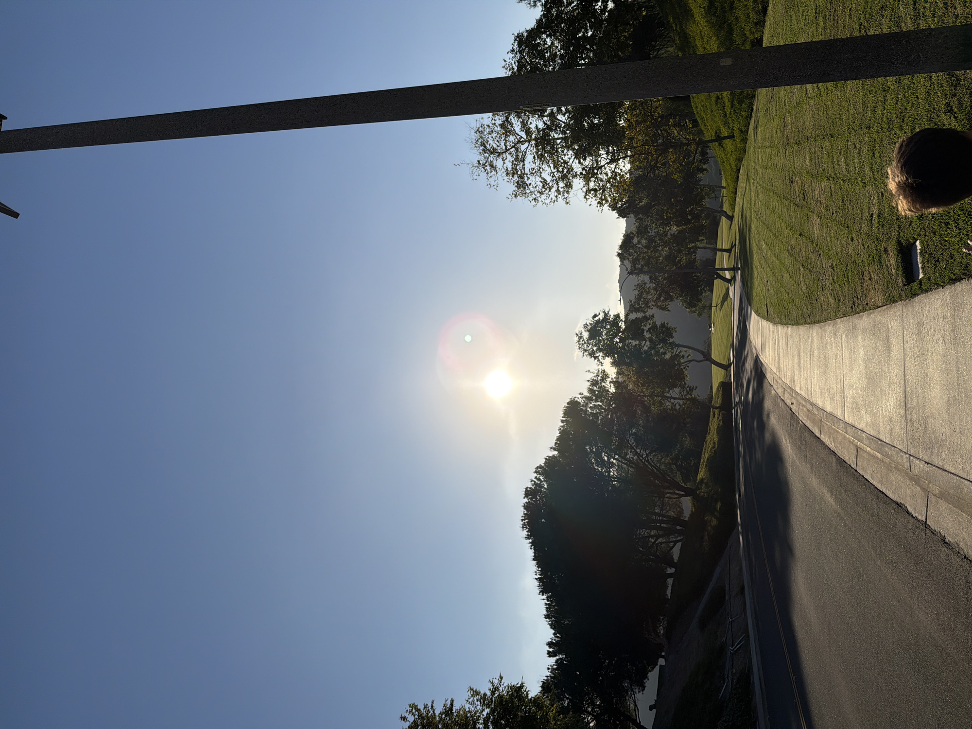 The image depicts a paved road with a sidewalk and a grassy embankment to the right. A lamppost stands to the far right of the frame. Trees are scattered throughout the scene, lining the road and dotting the grassy slopes. In the distance, rolling hills are visible under a clear blue sky. The sun is shining brightly, creating lens flare in the sky and casting shadows across the road and grass. A person's head and shoulders are visible in the lower right corner, facing away from the camera. The location is Aliso Viejo, United States of America.