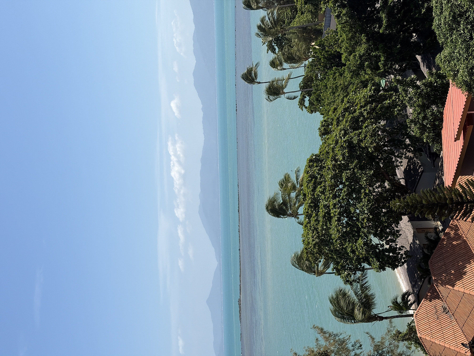 This image depicts a bright, sunny day overlooking a tropical coastline, likely in Ko Samui District, Thailand. The foreground features several buildings with orange tiled roofs, partially obscured by lush green foliage. Dominating the mid-ground are numerous palm trees, their fronds swaying in the wind against a backdrop of turquoise water. In the distance, the sea meets a hazy mountain range under a clear blue sky with scattered white clouds. The scene suggests a tranquil, scenic location, possibly a resort or residential area, with a strong emphasis on the natural beauty of the coastal environment. There are no people or animals visible in the image.