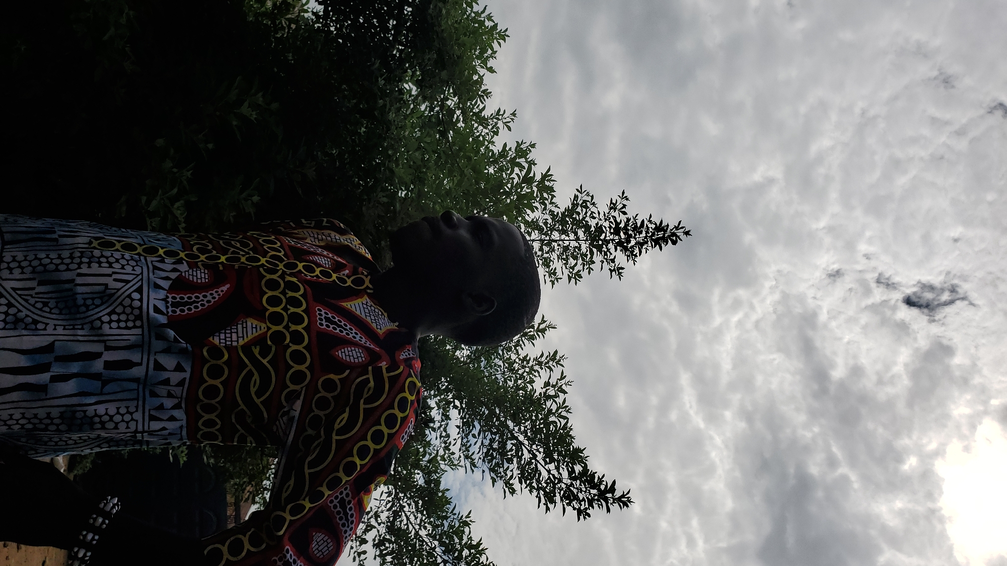 A profile shot shows a young Black person, facing left, with dark skin and short hair, silhouetted against a cloudy sky and dense green foliage. They are wearing a vibrantly patterned garment with geometric designs in red, yellow, black, white, and blue. The person's head is turned slightly towards the sky. The background consists of lush green trees and a gray, overcast sky with visible cloud formations. The scene appears to be outdoors, possibly in a garden or park setting within the city of Jalingo, Nigeria.