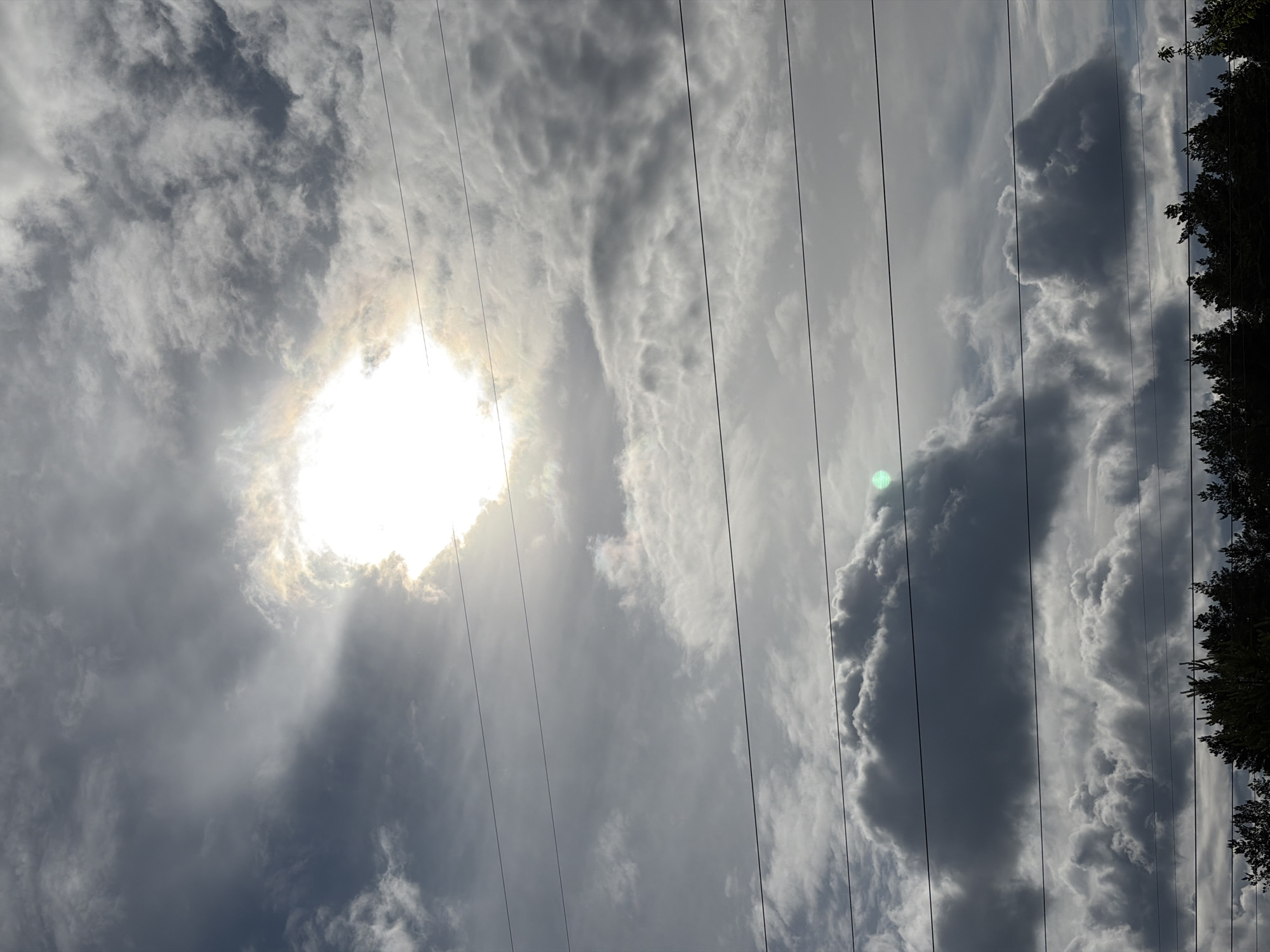 The image displays a dramatic sky dominated by a mix of clouds, utility wires, and a partial view of trees. The scene is oriented vertically, with the sun radiating brightly from behind dense clouds in the upper left portion of the frame, creating an intense, almost ethereal glow and a notable lens flare. The clouds vary significantly in tone, from brilliant white and silver where the sun breaks through, to dark, textured grey formations in other areas, suggesting a dynamic and possibly changing weather pattern. Several thin, dark utility wires or power lines stretch vertically across the entire sky, running parallel to one another. Along the right edge of the frame, the dark, silhouetted crowns of trees are visible, providing a natural boundary to the skyward view. The overall impression is one of a partly cloudy to overcast day with powerful sunlight. There are no people or specific activities depicted. The time of day appears to be during daylight hours, likely midday given the sun's intensity. No visible text is present. The setting is an outdoor area in Chaikovsky, Russia.