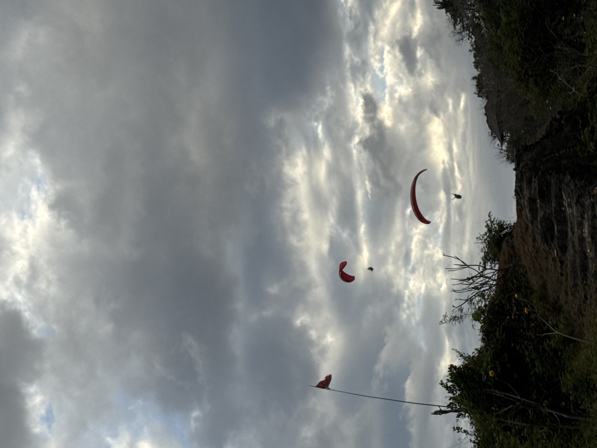 The image depicts a cloudy sky above a lush green landscape in Kuta Selatan, Indonesia. Three paragliders are visible in the sky, each with a red canopy. A red flag is planted on a thin pole to the left of the frame. The foreground features dark green vegetation, with some bare branches and yellow flowers. A path or set of stairs made of stone and earth leads upwards through the greenery. In the background, a thatched-roof structure is partially visible amidst the trees on a hill. The overall scene suggests an outdoor recreational area, possibly a viewpoint or launch site for paragliding.