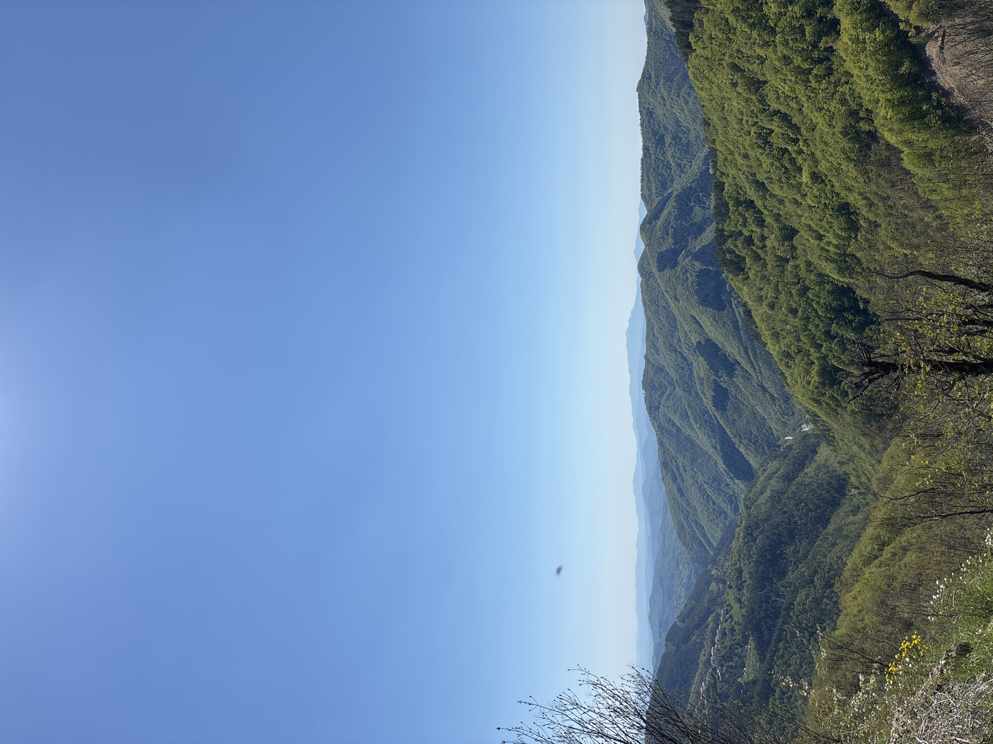 The image shows a mountainous landscape under a clear blue sky. The mountains are covered in lush green vegetation. In the foreground, there is some foliage and small flowers, suggesting a vantage point on or near a slope. The image seems to be taken in the vicinity of Petrov Dol, Bulgaria, judging from the typical landscape. No people or specific objects are clearly visible.