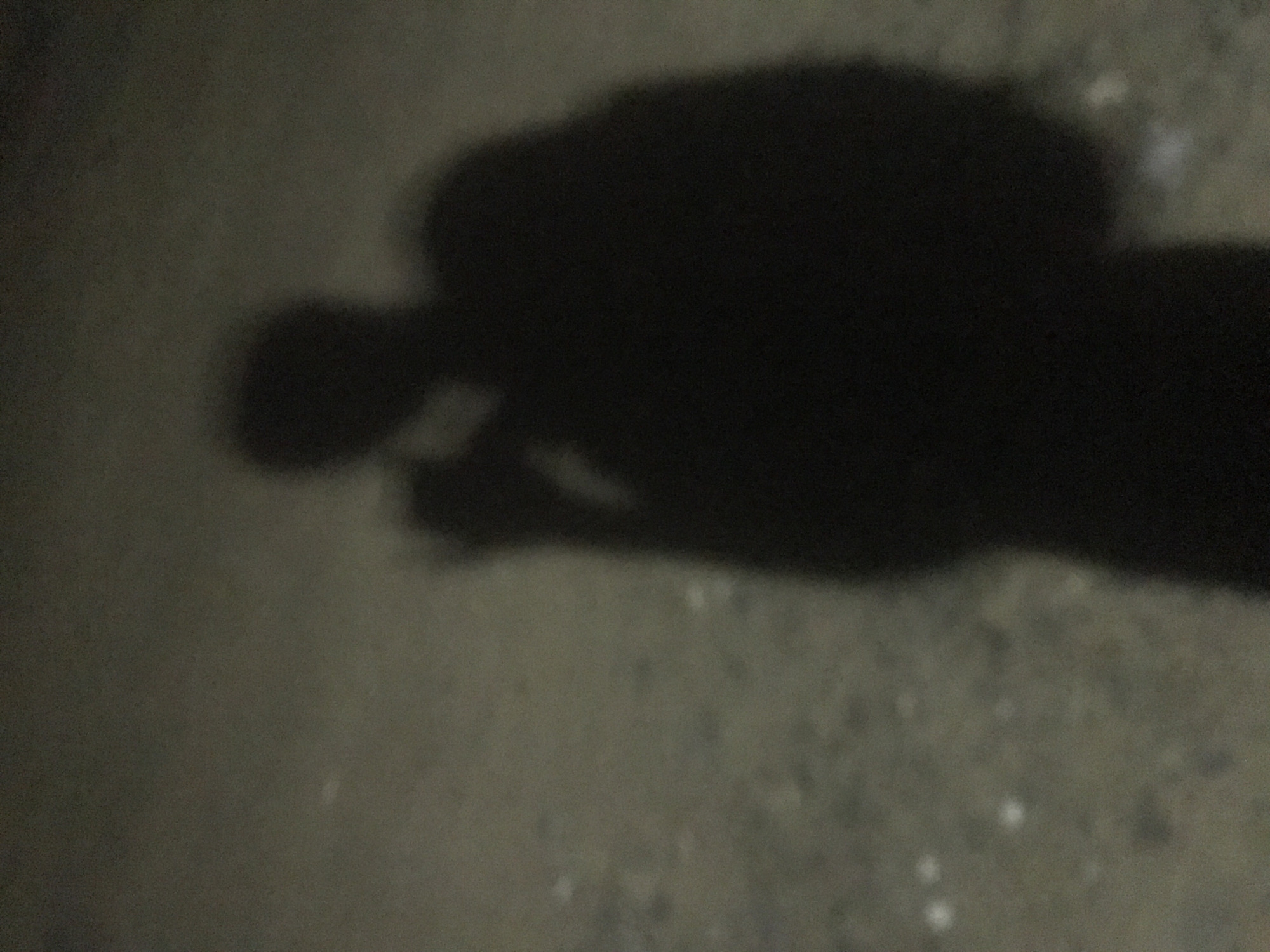A dimly lit, grainy photograph shows the shadow of a person standing on a speckled ground. The shadow is dark and indistinct, suggesting low light conditions. The person's head is bowed slightly, and their arms are held close to their body. One hand appears to be raised towards their face. The background is a muted, textured surface, possibly asphalt or concrete. The overall impression is one of solitude and mystery.