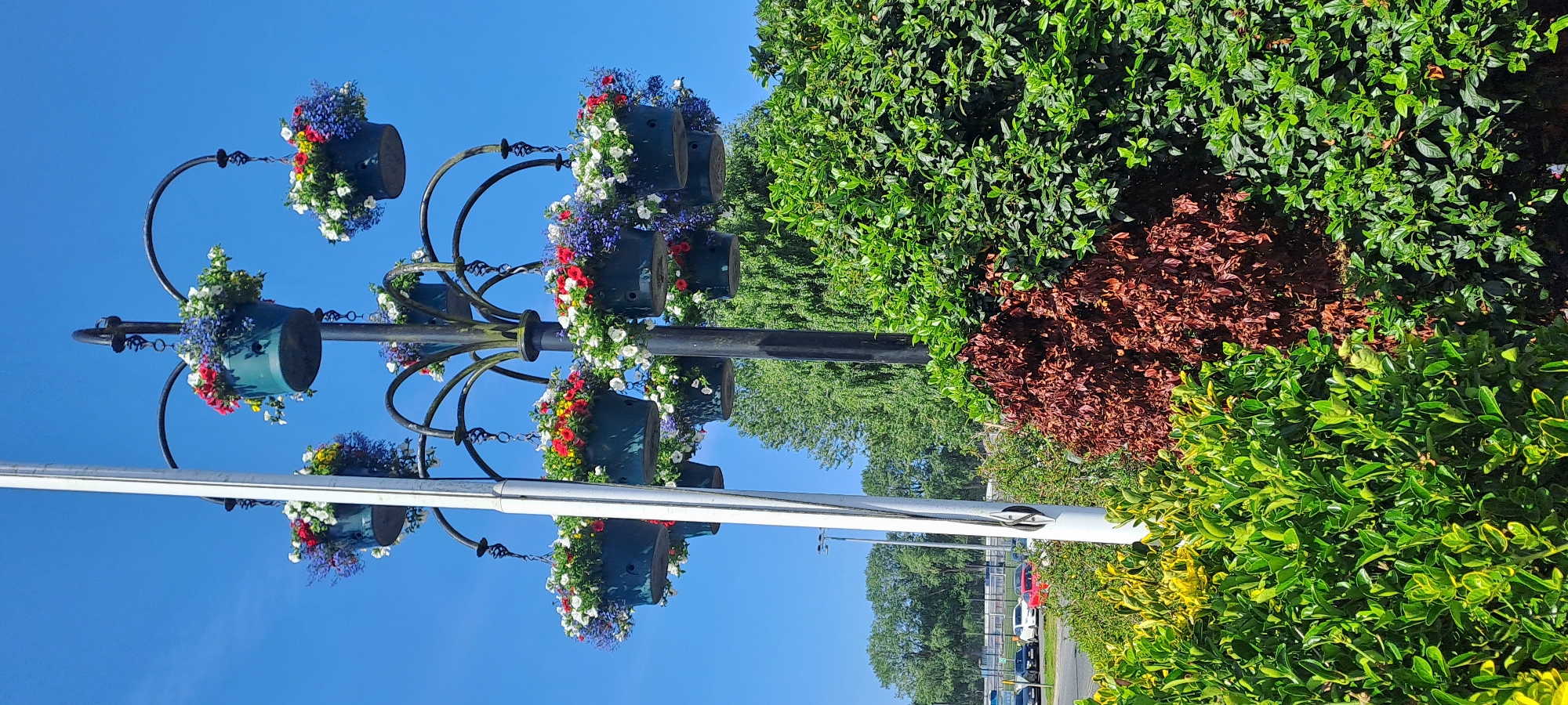 In Enniskillen, United Kingdom, a decorative lamppost stands adorned with multiple hanging baskets overflowing with colorful flowers, predominantly red, white, and blue petunias and lobelia, against a clear blue sky. The lamppost is positioned in front of a backdrop of lush green trees and a line of cars in a parking lot visible in the distance. In the foreground, dense green and yellow foliage, along with a section of dried, reddish-brown shrubs, fills the lower part of the frame. A white flagpole is situated to the left of the lamppost.