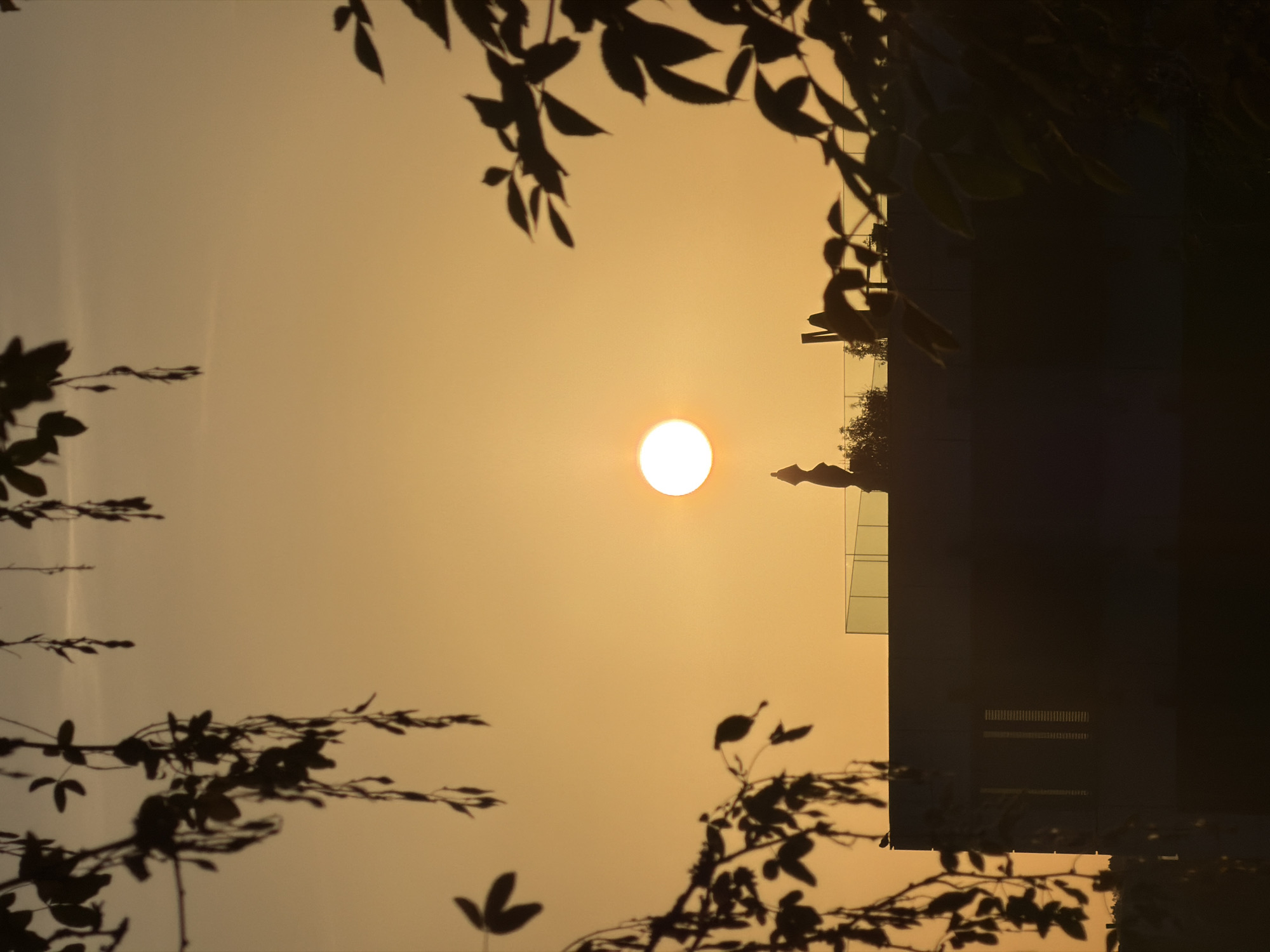 A silhouette of a modern building with a glass railing on its rooftop is visible against a bright, orange sunset sky. The sun is a glowing orb positioned in the upper center of the frame. Silhouetted tree branches and leaves frame the scene from the top and sides, creating a natural vignette. A dark, slender statue-like figure stands on the rooftop, just below the sun. The building's facade features vertical window details. The image appears to be taken in Leudelange, Luxembourg.