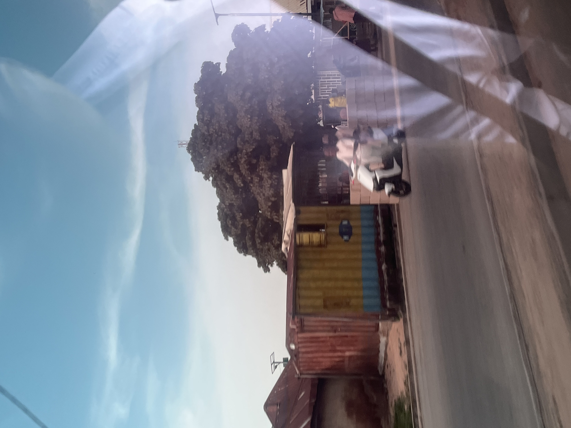 The image, taken in Jalingo, Nigeria, depicts an outdoor scene with a street and buildings. In the foreground, a yellow and blue shipping container structure stands next to a red corrugated iron building. A large, leafy tree dominates the midground, with a lamppost visible behind it. In the background, a street is visible, and a motorcycle with two people on it is in motion. The sky is clear with some wispy clouds, suggesting it is daytime. The lighting indicates it could be late afternoon or early morning. There are reflections on a surface in the foreground, possibly glass, which distorts parts of the image. The scene appears to be a busy street in a residential or commercial area. No visible text is present in the image.