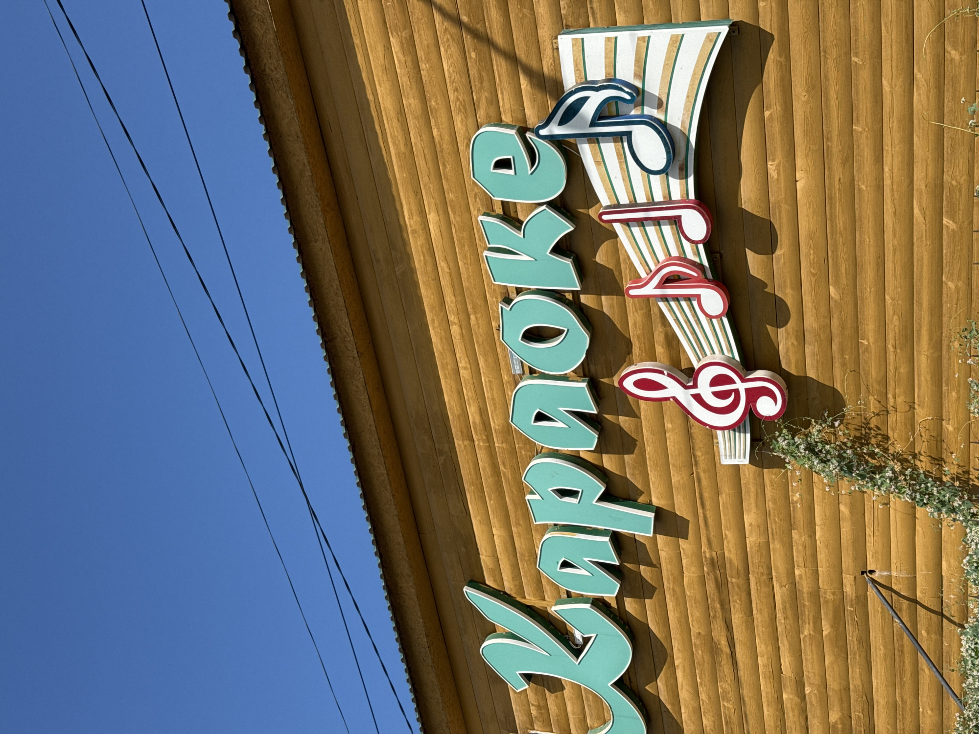 The image shows a close-up of a wooden building with a sign that reads "Karaoke." The sign features large, teal-colored letters with white outlines. Below the word "Karaoke," there are musical notes and a treble clef, also in vibrant colors. The building's exterior is made of horizontal wooden planks. The sky above is a clear, bright blue, with some power lines running across it. There is some green ivy growing up the side of the building and a black pipe extending from the wall. The scene appears to be an exterior shot of a business located in Zharbulak, Kazakhstan.