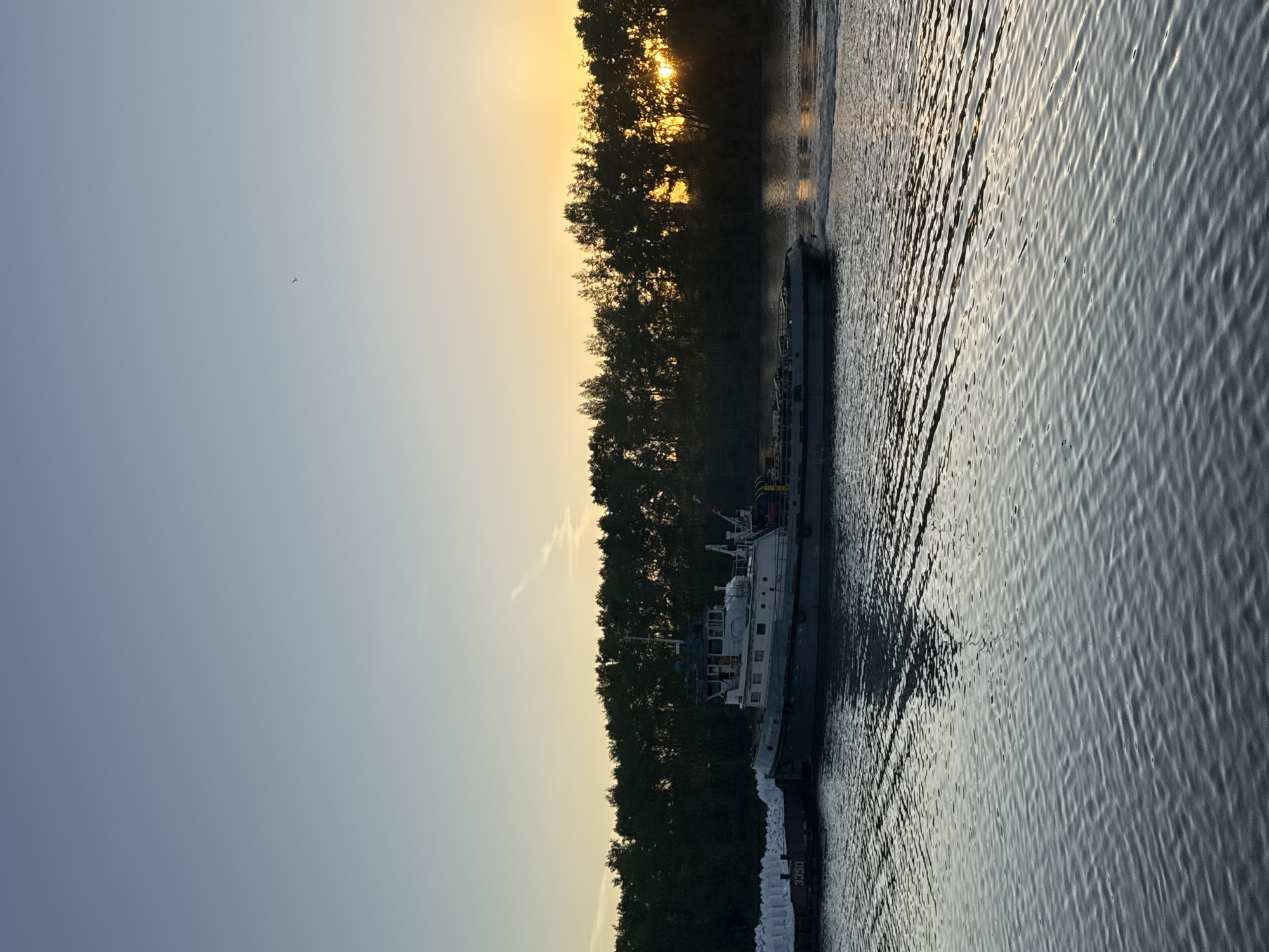 The image depicts a barge with a white tugboat moored to it, sailing on a body of water adjacent to a heavily forested shoreline. The sun is setting (or rising) on the horizon behind the trees, creating a soft yellow glow in the sky. The water's surface reflects the light, creating streaks and ripples. A thin contrail cuts across the sky above the trees. The scene appears to be a river or large lake, with the barge seemingly in motion. The city of Chaikovsky, Russia is not identifiable within the image.