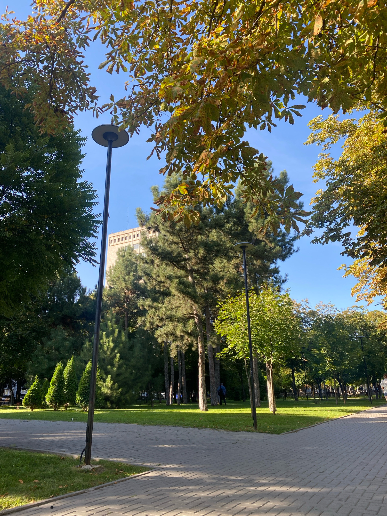 The image depicts a paved walkway in a park in Chișinău, Moldova, lined with trees. In the foreground, a lamppost stands beside the walkway. Beyond the walkway, a grassy area is visible, dotted with more trees, including coniferous and deciduous varieties showing autumnal colors. In the background, a multi-story building with a light-colored facade and visible windows is partially obscured by trees. Two individuals are faintly visible in the distance walking within the park. The sky is clear and blue.