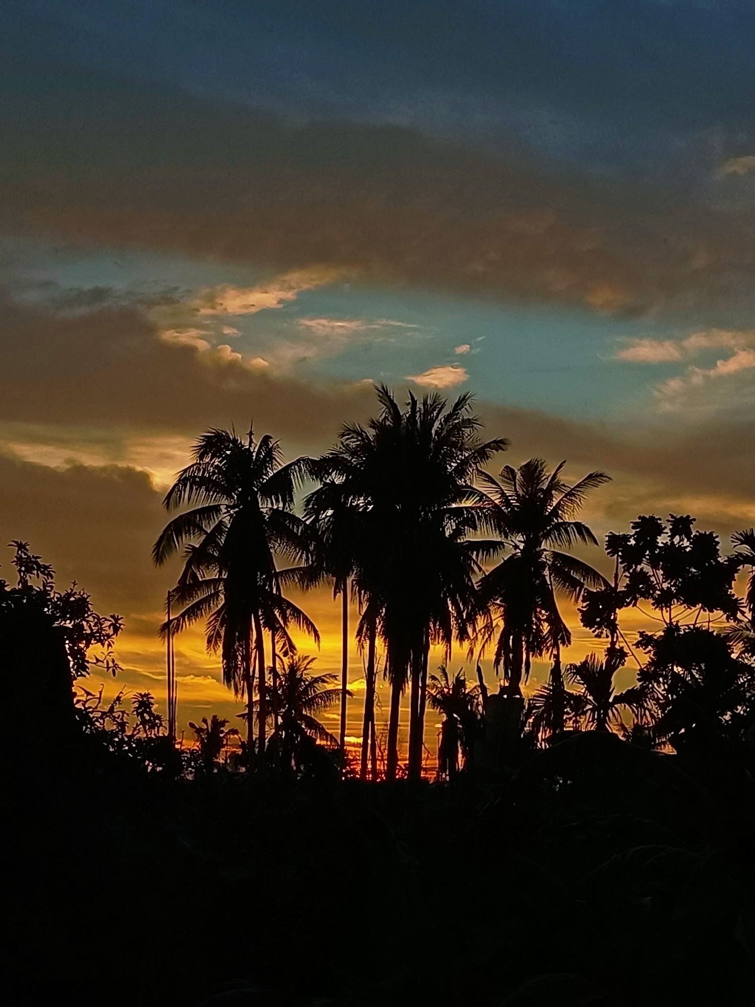 The image depicts a sunset scene with silhouetted palm trees in the foreground. The sky displays a gradient of colors, transitioning from deep blue at the top to orange and yellow hues near the horizon, indicative of the sun setting. Wispy clouds are scattered across the sky, catching the warm light. The palm trees, along with other foliage, are rendered as dark silhouettes against the vibrant sky. The overall impression is one of a tropical evening, possibly in a rural or coastal area. The location is identified as Blang Cut, Indonesia. There are no people, actions, or interactions visible in the image.