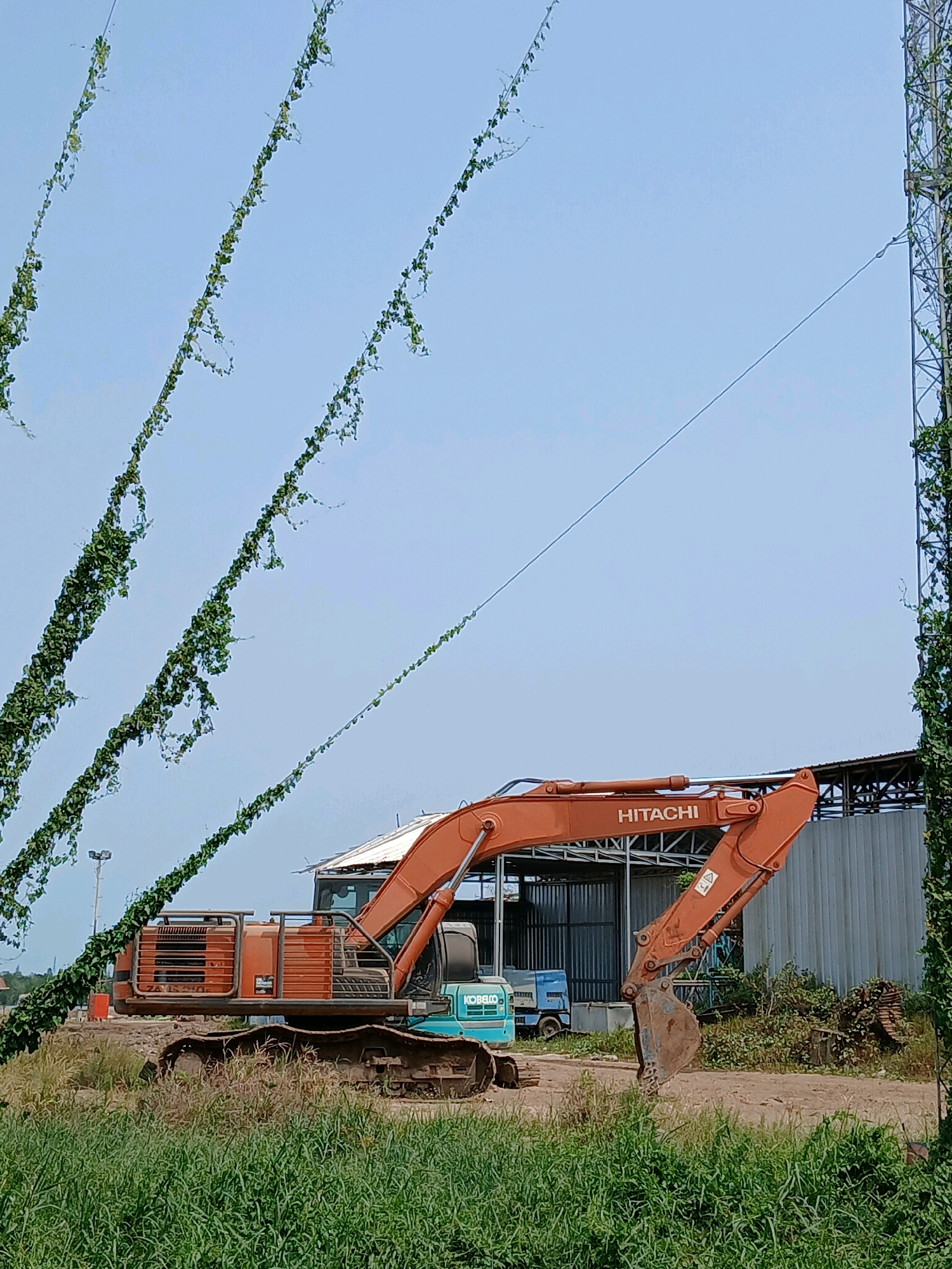 In a rural or industrial area outside of Pangkalpinang, Indonesia, an orange Hitachi excavator sits on a dirt and grass terrain. The excavator's tracks are visible, and its large metal arm is extended. A smaller teal-colored excavator is partially visible in front of the larger one. In the background, a building with a corrugated metal roof and walls stands. To the right of the building, a tall tower, possibly a telecommunications tower, is visible, partially obscured by green vines. The sky above is a clear blue. Several vines with green leaves hang diagonally across the frame from the upper left to the bottom right. The scene appears to be a construction or industrial site.