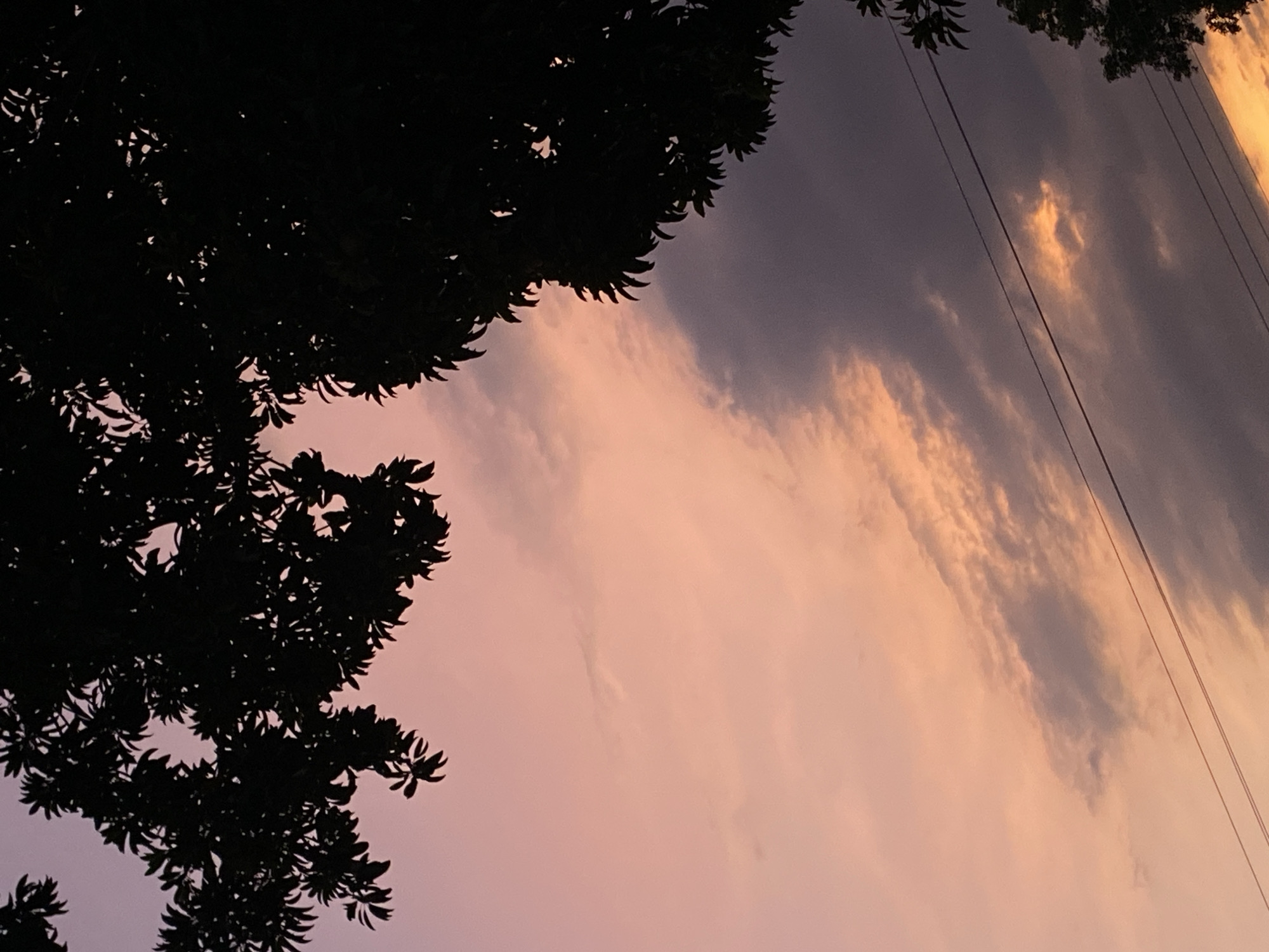 The image captures a dusk or dawn scene in Tinaquillo, Venezuela, featuring a view of the sky with prominent trees in silhouette. The sky displays a mix of colors, transitioning from dark gray and purple to soft pink and orange hues. Clouds are scattered throughout, with some areas appearing darker and more dense. Electrical or communication wires run across the upper right portion of the frame. Silhouetted tree branches and leaves occupy the top and left side of the image, creating a stark contrast against the colorful sky. No people or other identifiable objects are visible.