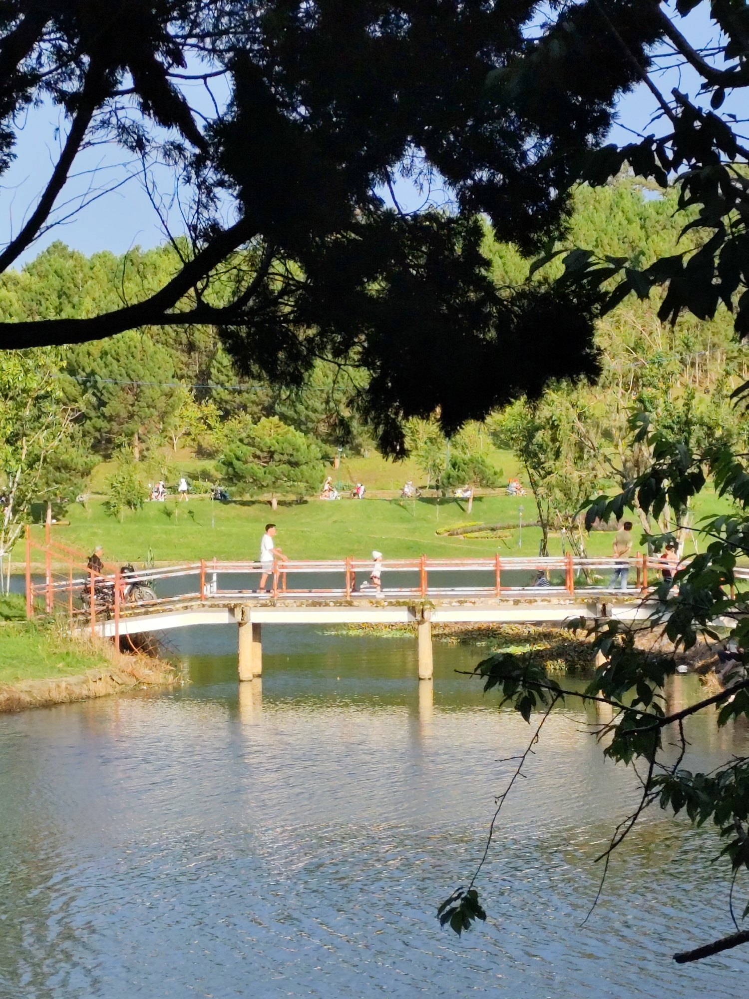 The image depicts a serene park scene at Hồ Tuyền Lâm (Tuyen Lam Lake) in Da Lat, Vietnam. In the foreground, a calm body of water reflects the bright sky and surrounding greenery. A light-colored bridge with red railings spans the water, with several people visible on it. On the left side of the bridge, a person stands next to a motorcycle. Further across the bridge, a person in white walks, and a child in white is visible. Other individuals are scattered on the grassy slope in the background, some sitting on blankets. The slope is covered with lush green grass and dotted with trees, creating a picturesque landscape under a clear blue sky. The overall atmosphere is one of leisure and relaxation.