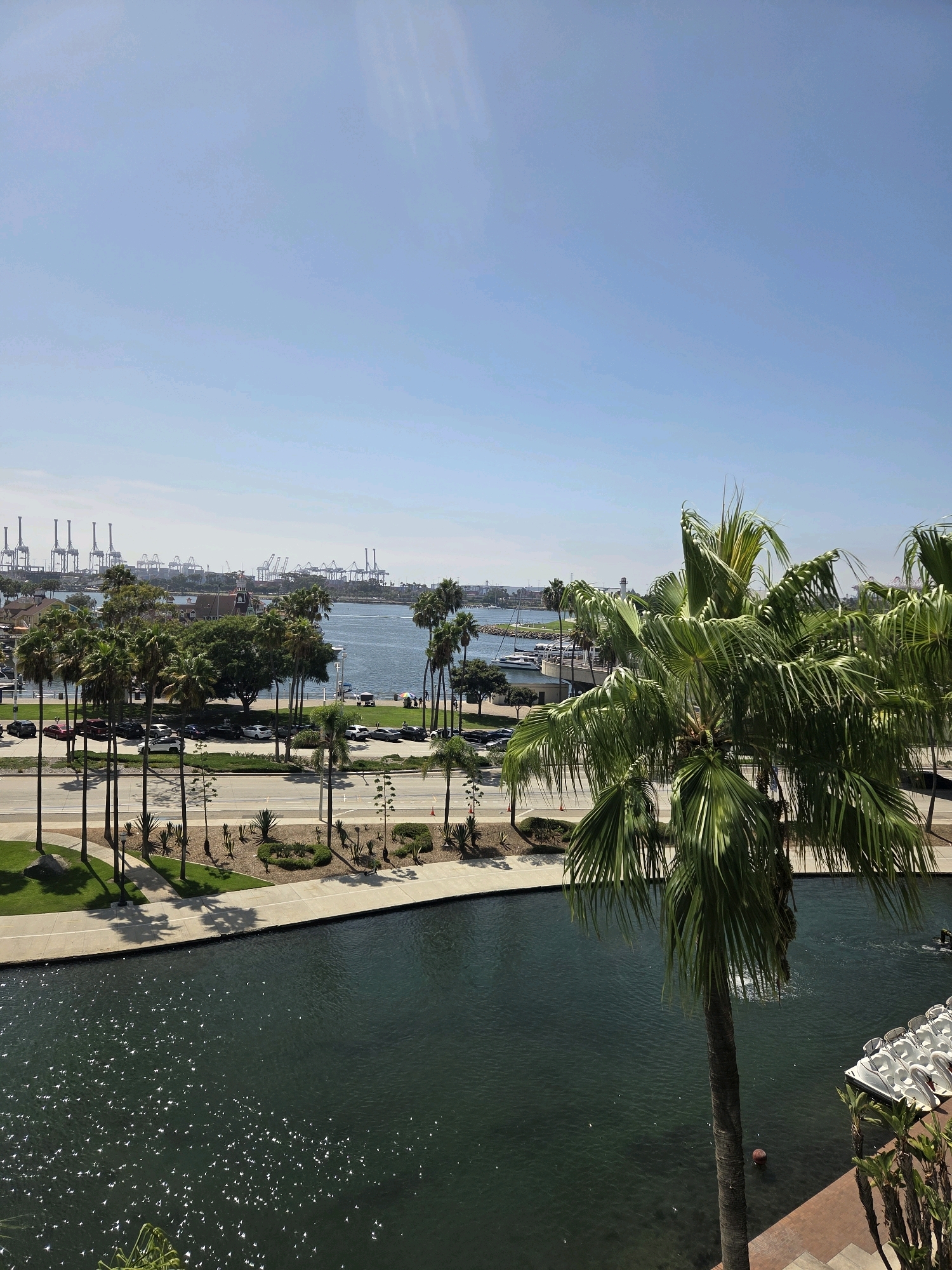 The image depicts a bright, sunny day at the Long Beach waterfront in California, USA. The foreground is dominated by a large palm tree with lush green fronds, its trunk partially visible against a dark, rippling body of water. To the right of the water, a cluster of white paddle boats is docked along a brick pathway, with more palm trees and tropical plants.
Beyond the immediate foreground, a wide, calm canal or bay separates the viewer from a street lined with more palm trees. Cars are parked along the street, and a pedestrian walkway runs parallel to it. A grassy area with manicured bushes and some decorative rocks is visible between the walkway and the street.
In the middle ground, the expansive waters of the Long Beach harbor are visible. Several sailboats are moored, and a few buildings, possibly restaurants or shops, are nestled amongst the palm trees along the shoreline.
The background features the extensive industrial port of Long Beach, characterized by numerous towering cranes, indicative of a busy shipping and logistics hub. The sky above is a clear, pale blue with no clouds. The overall scene conveys a sense of a vibrant coastal city that blends recreational waterfront activities with industrial operations.